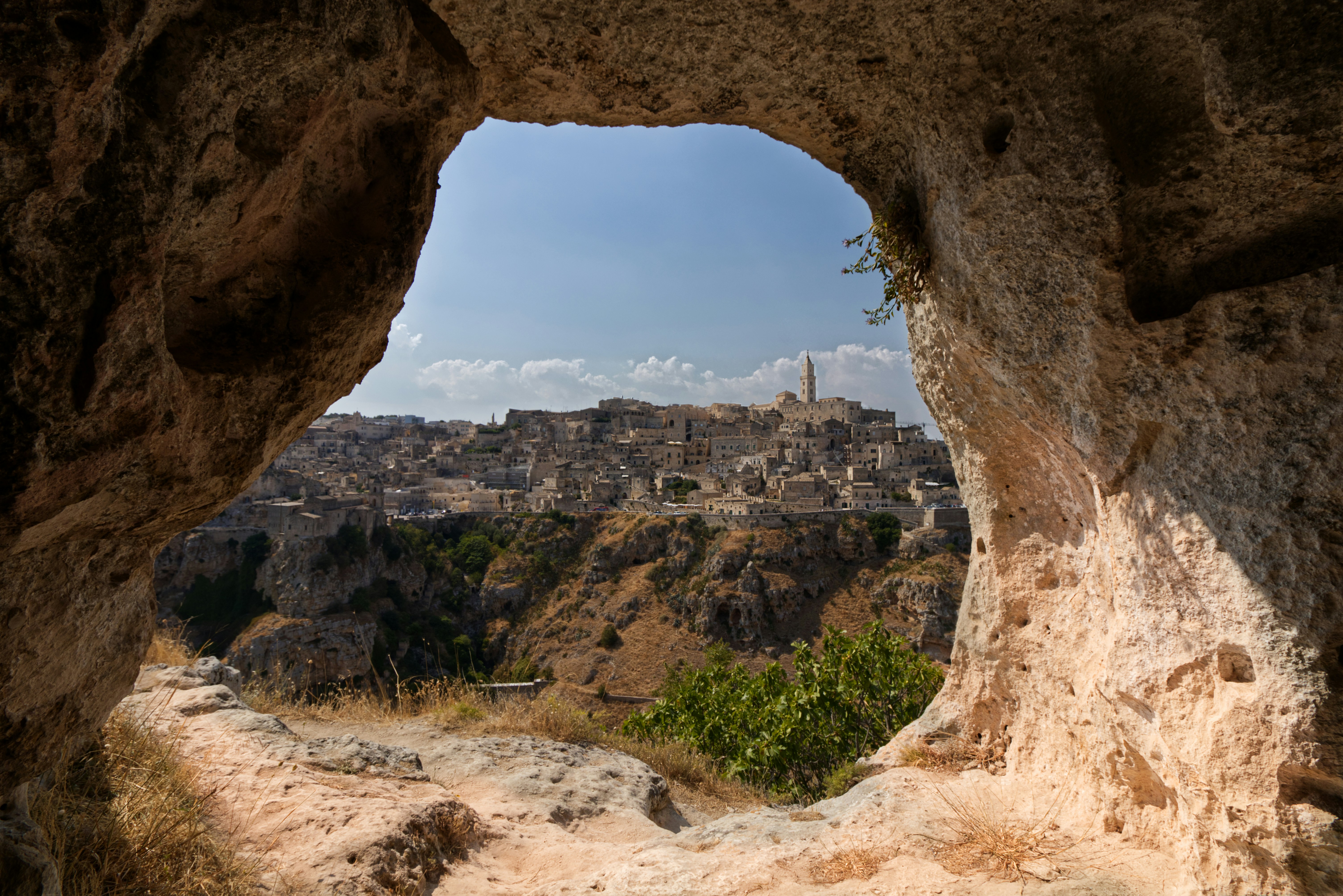francesco dondi oj3zlfv6mcu unsplash