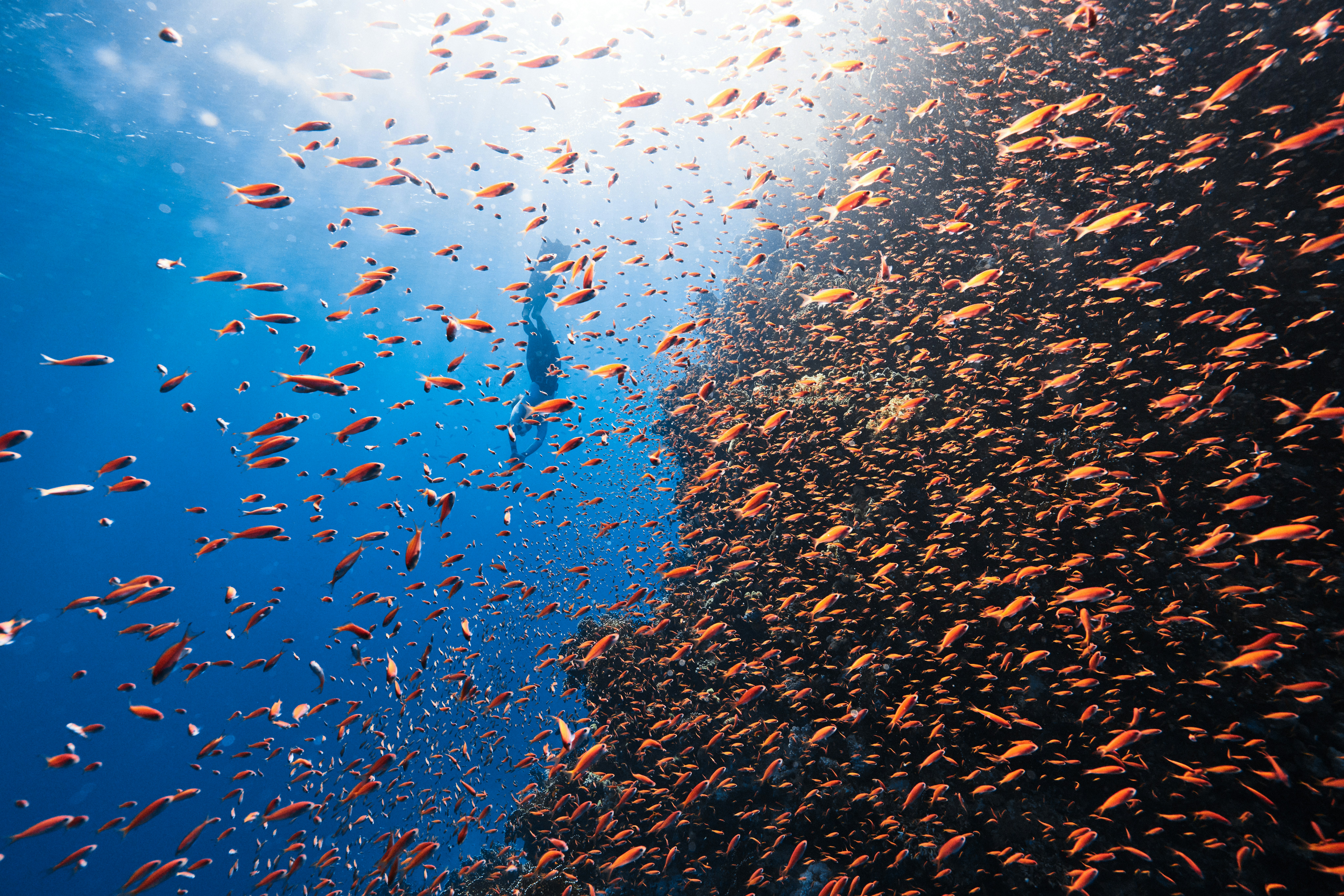 neom wlewjw wnee unsplash