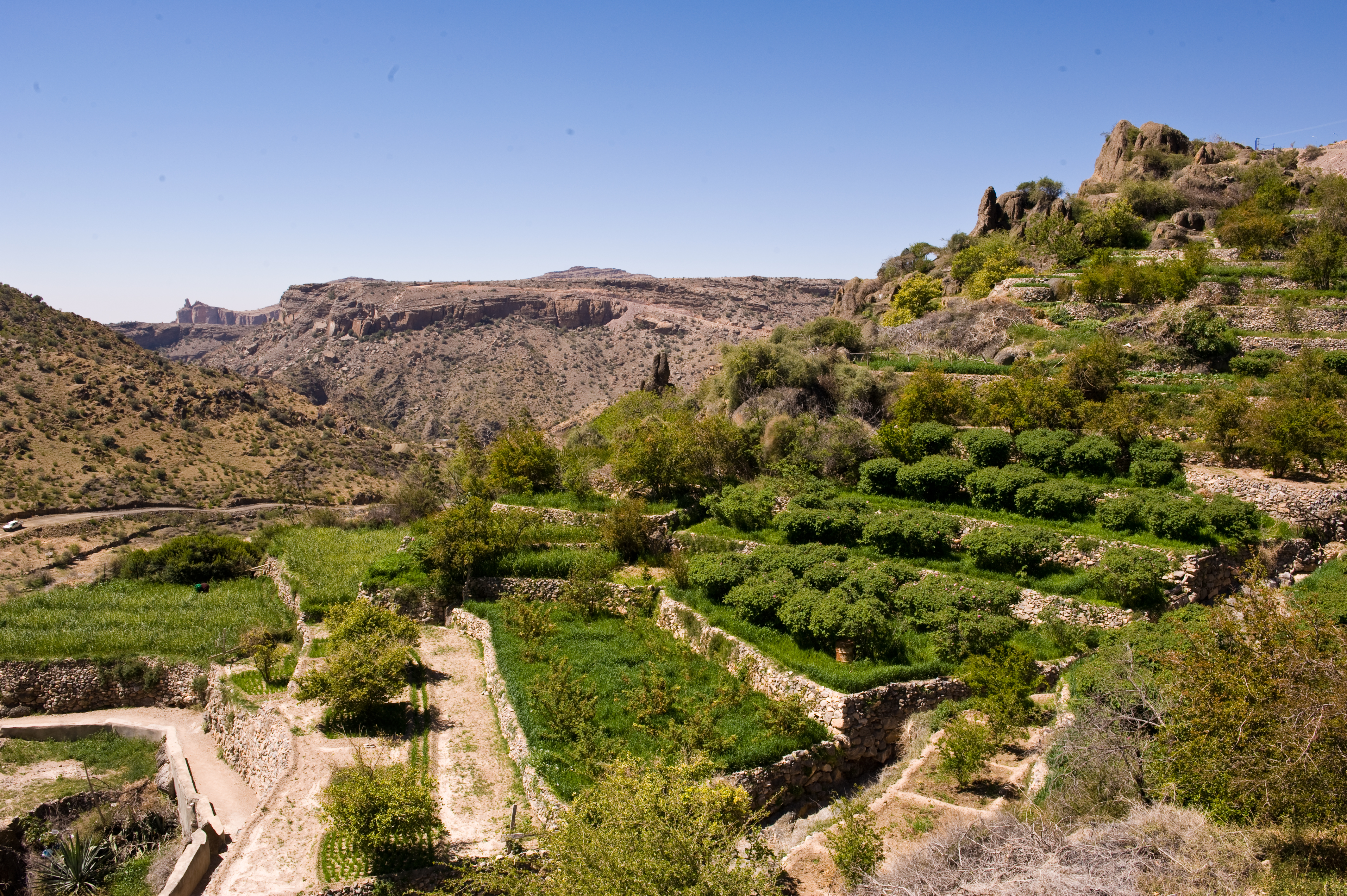 jabal akhdar