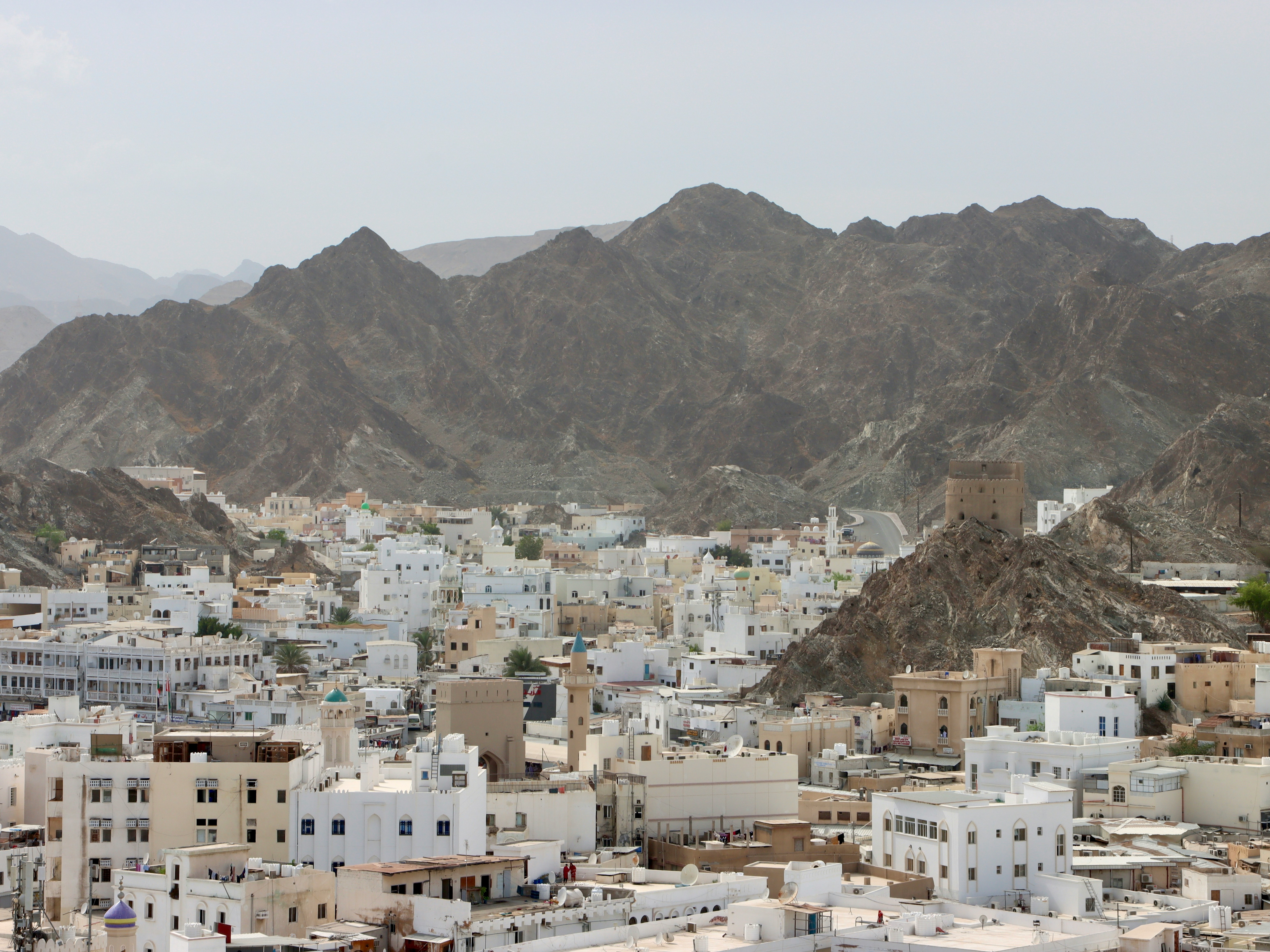 muscat overzicht