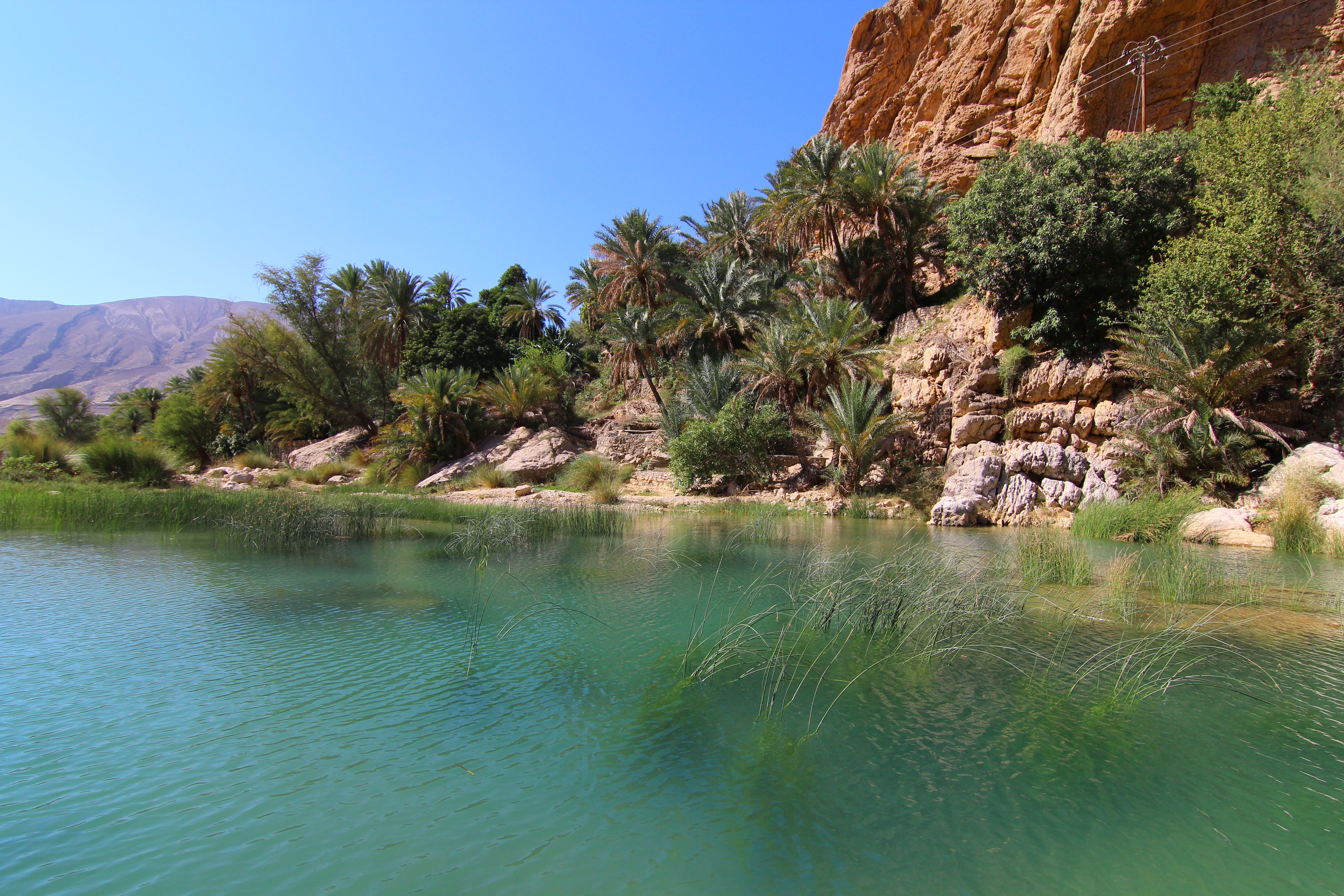 wadi bani khalid sultanat d oman 2