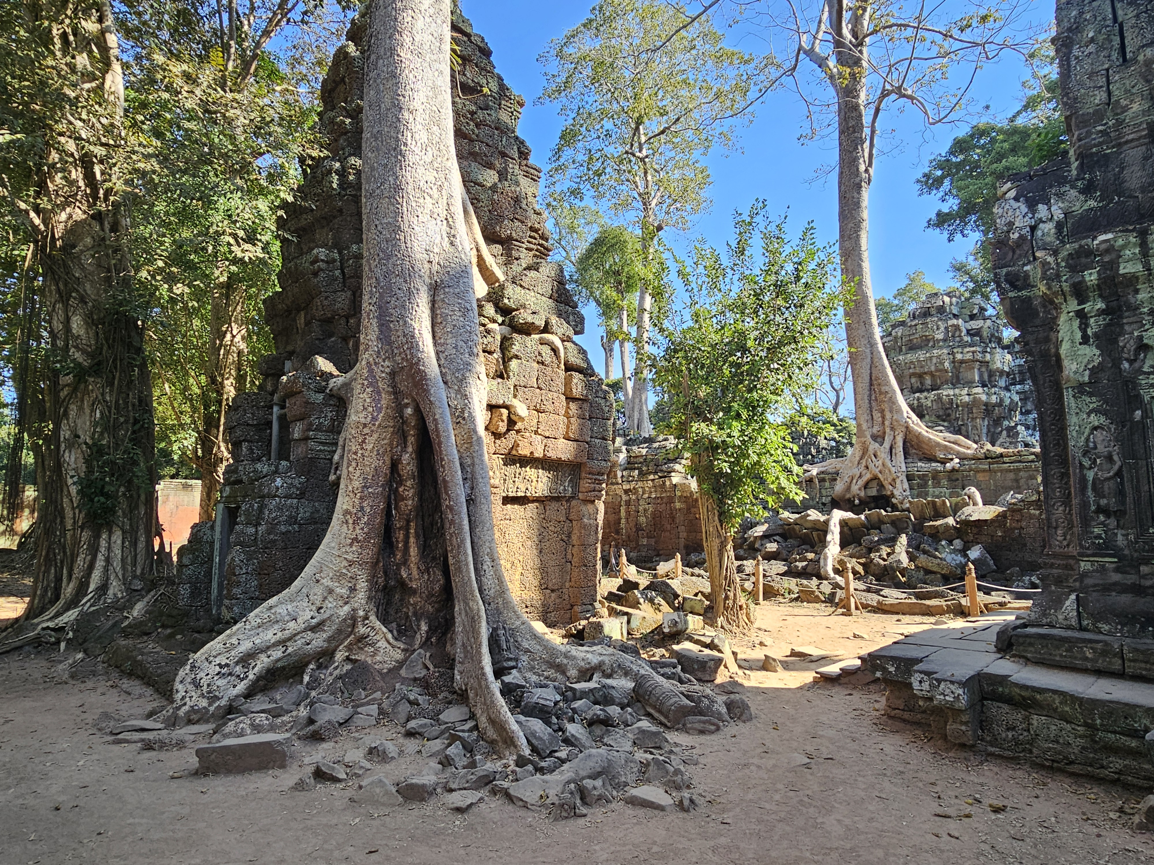 siem reap ta prohm 3