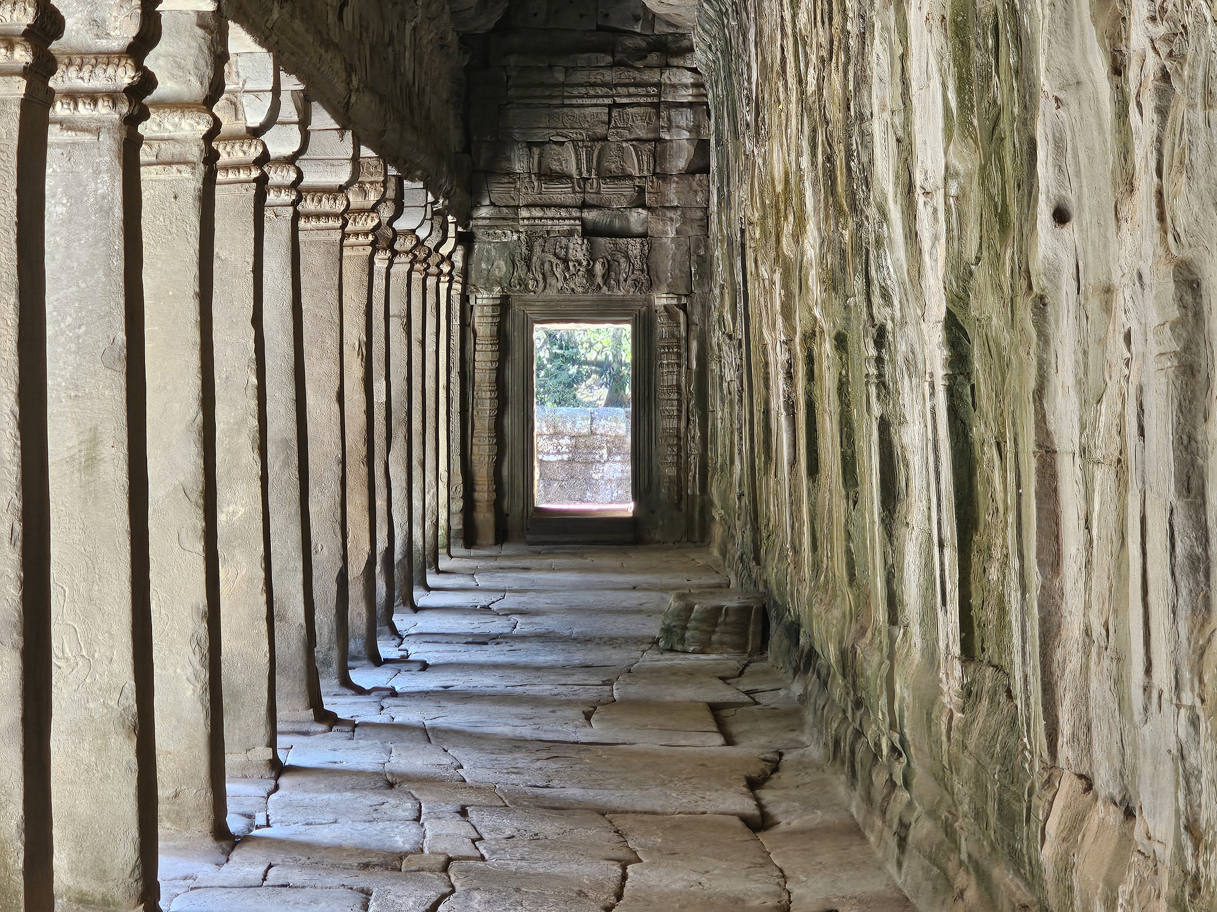 siem reap ta prohm 2