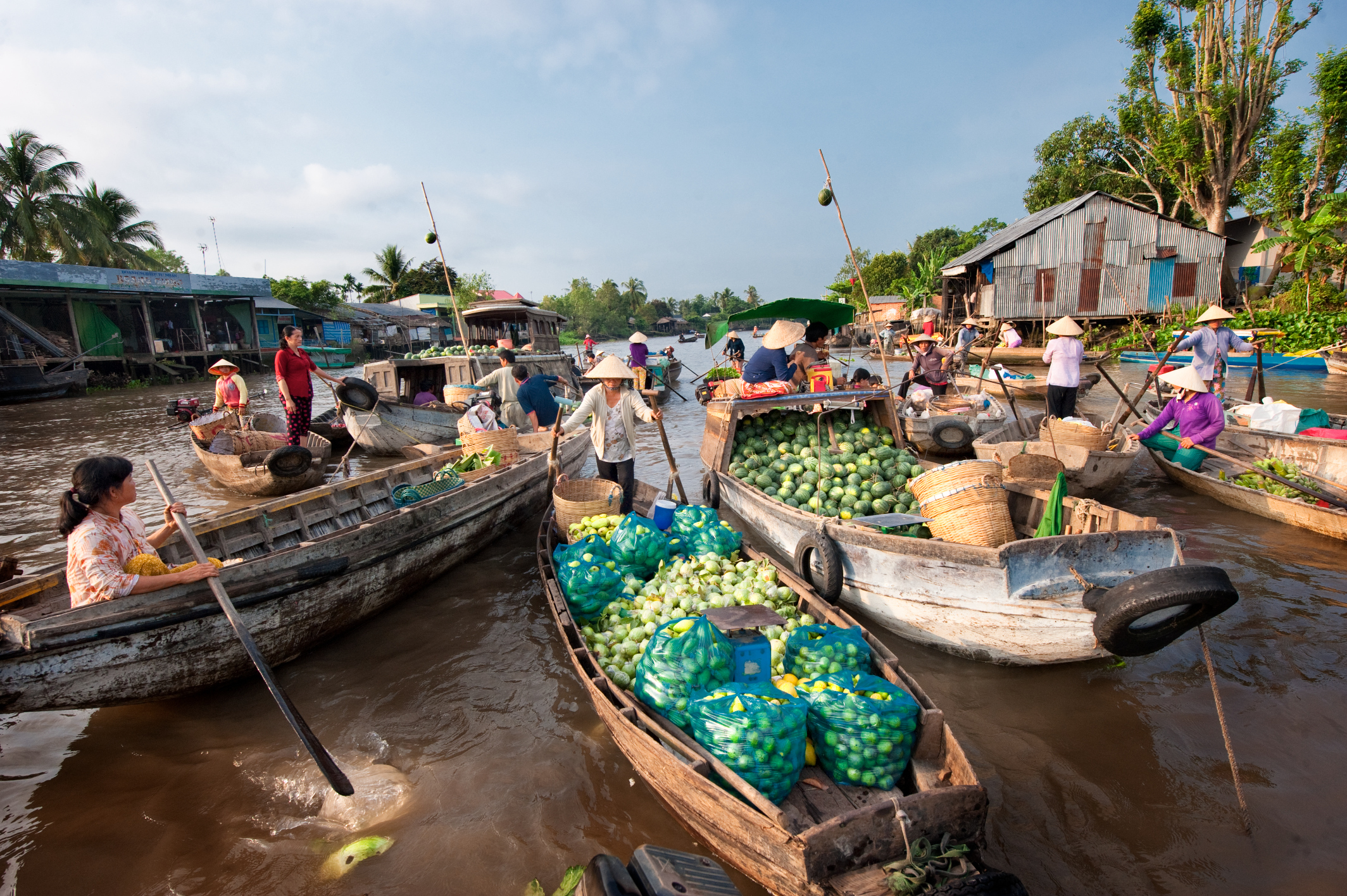 mekong delta 14