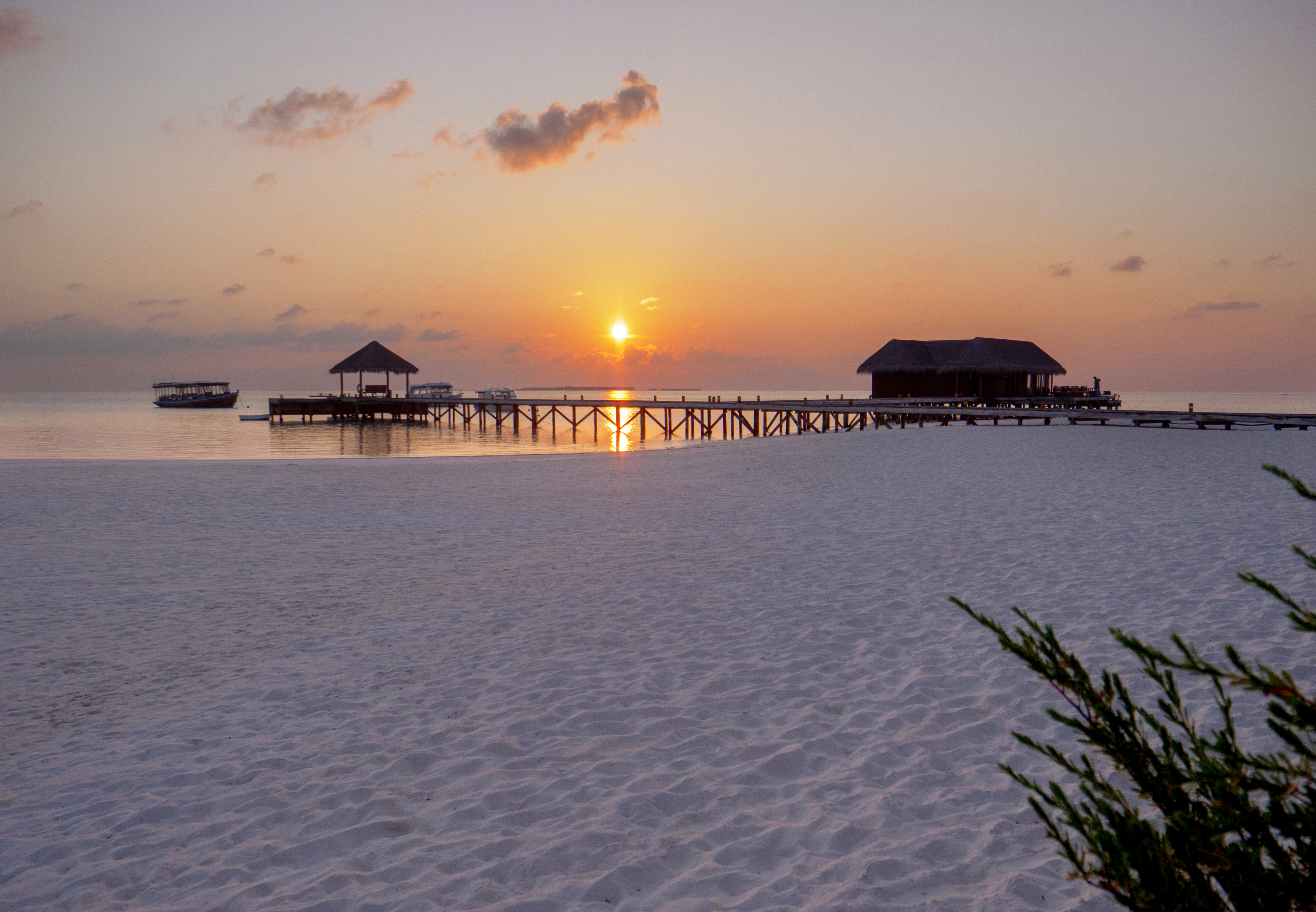 27 mirihiislandsunsetbeach