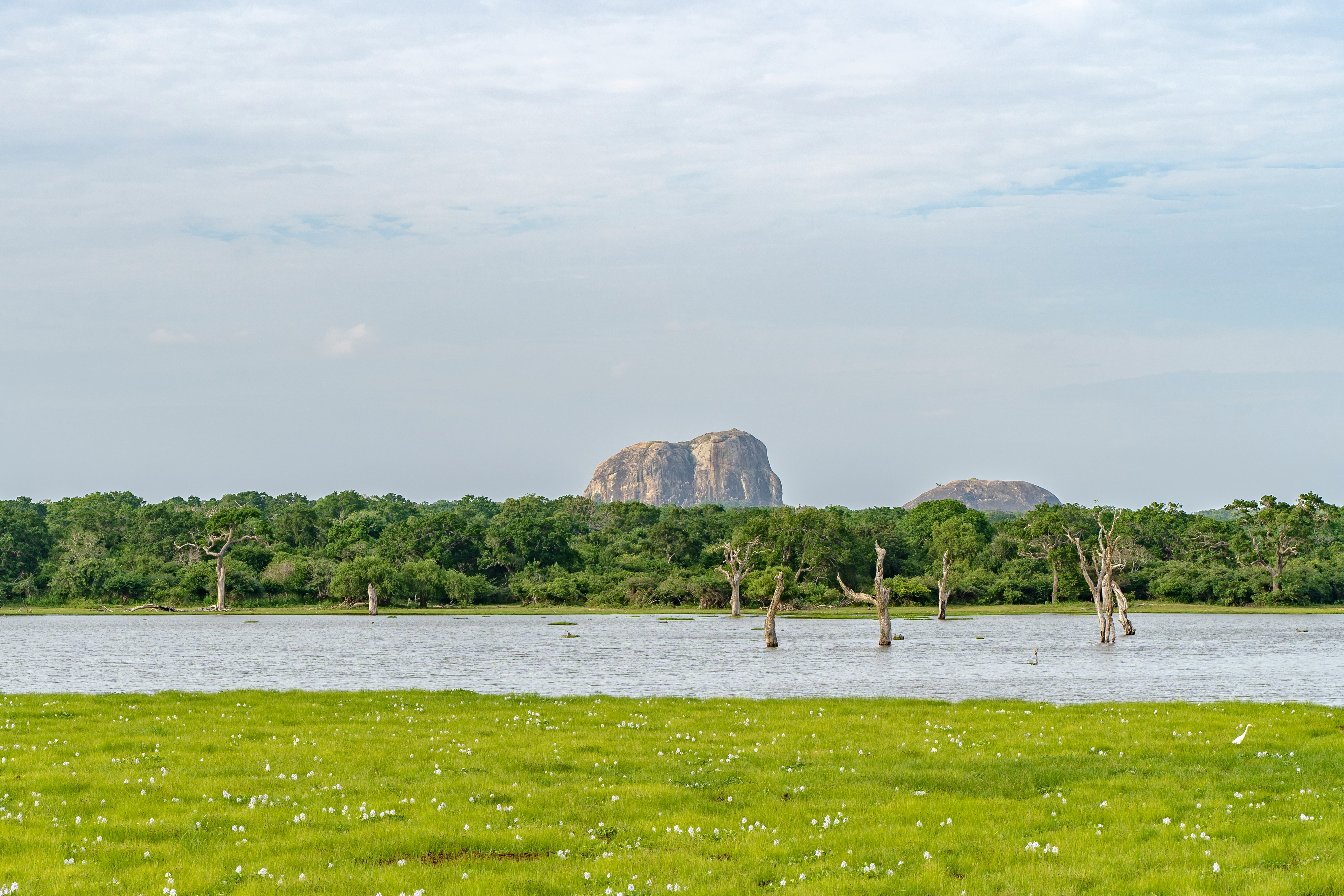 yala national park sri lanka
