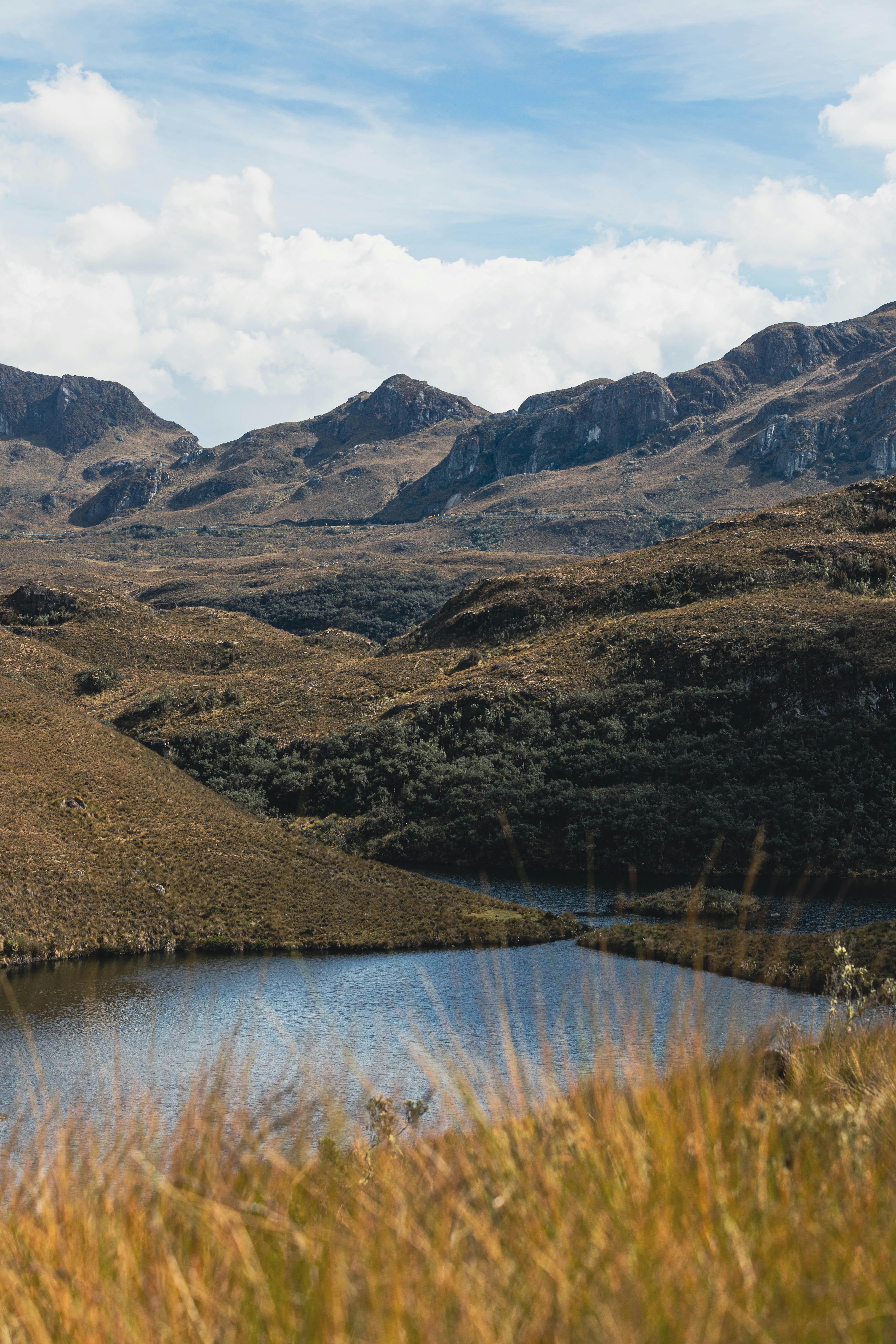cajas national park
