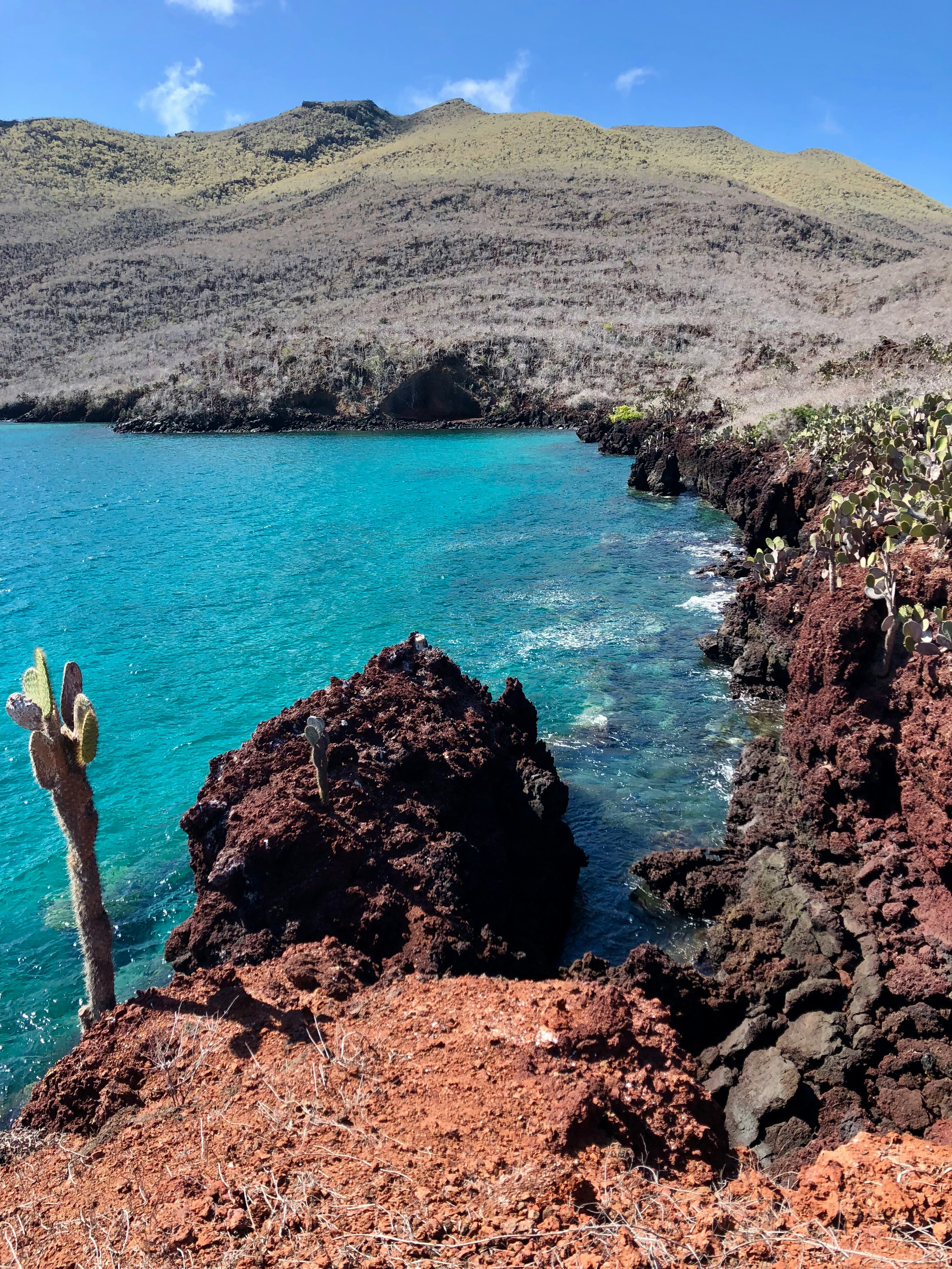 galapagos blue sea