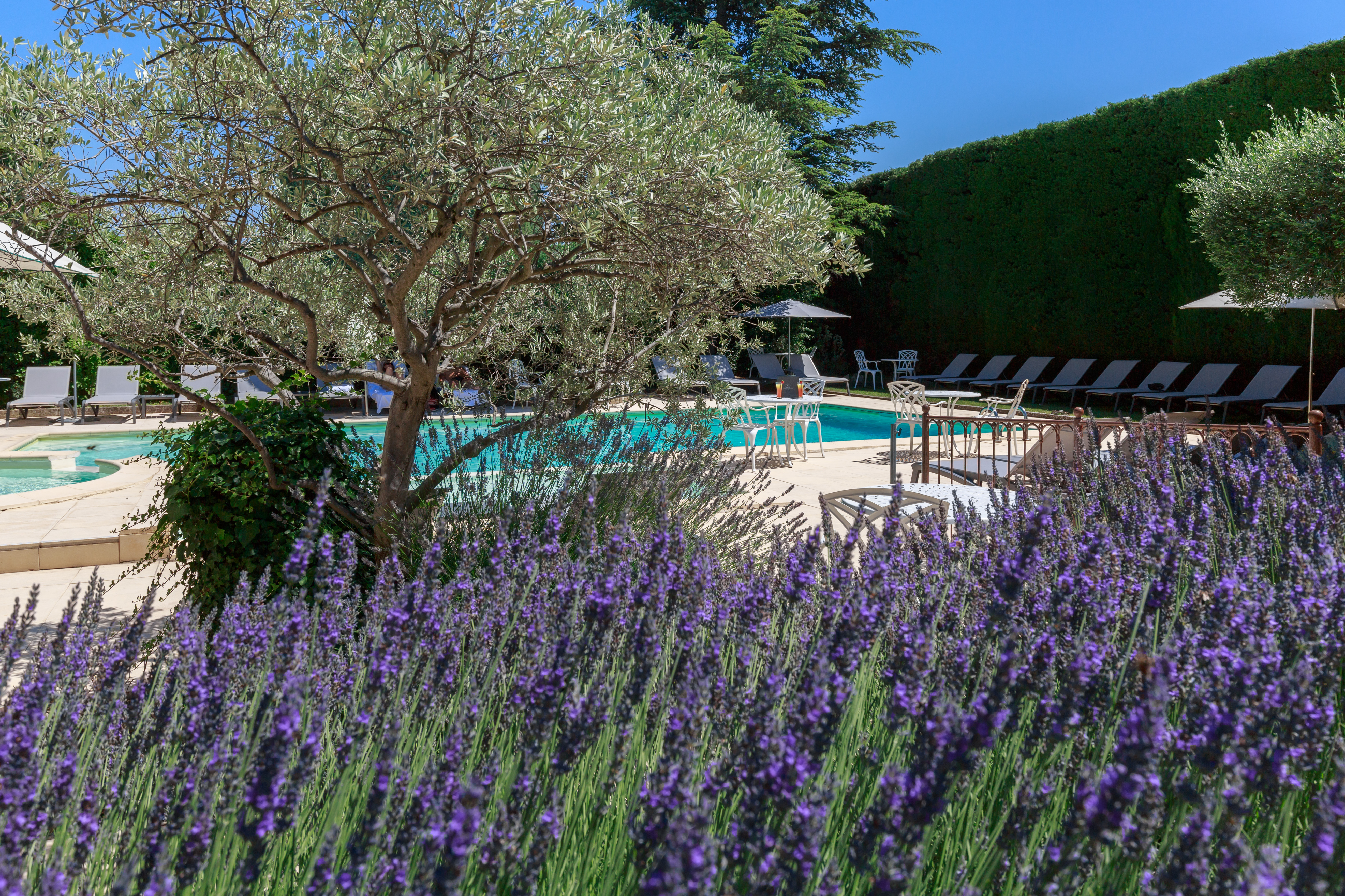 6 aubergedecassagnespa piscine lavandes olivier kopie