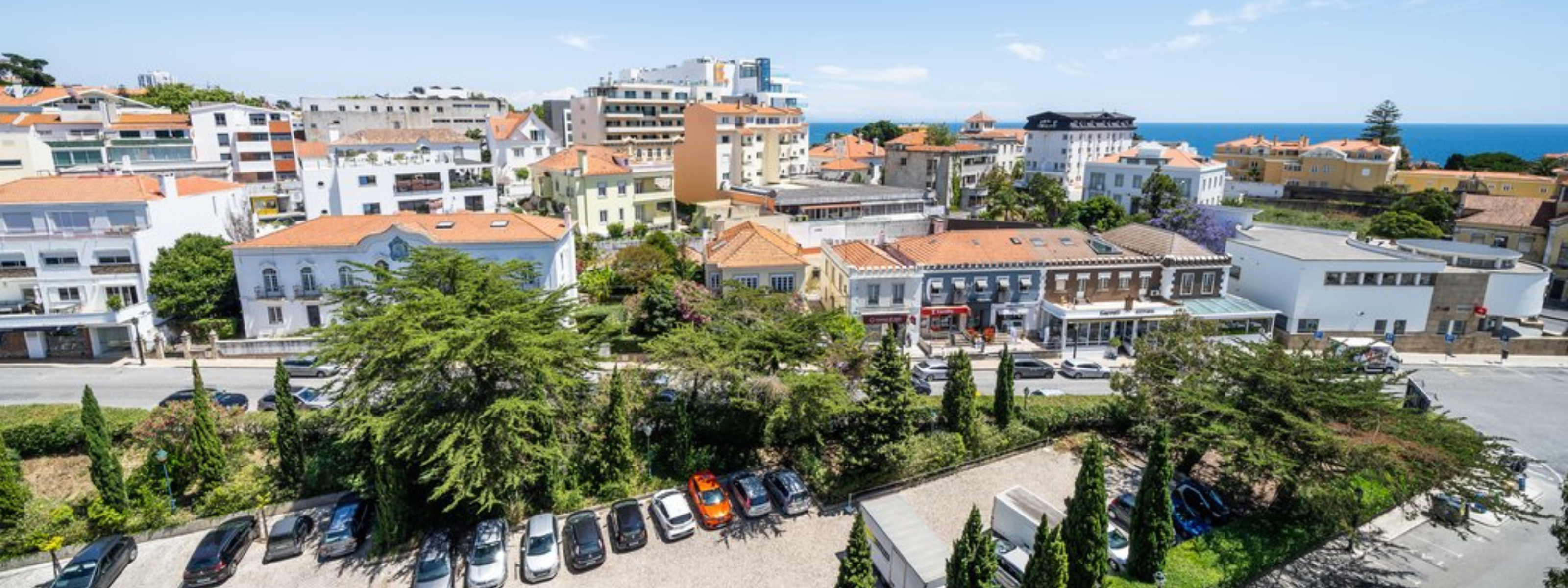 banners 2024 12 02t142607 322