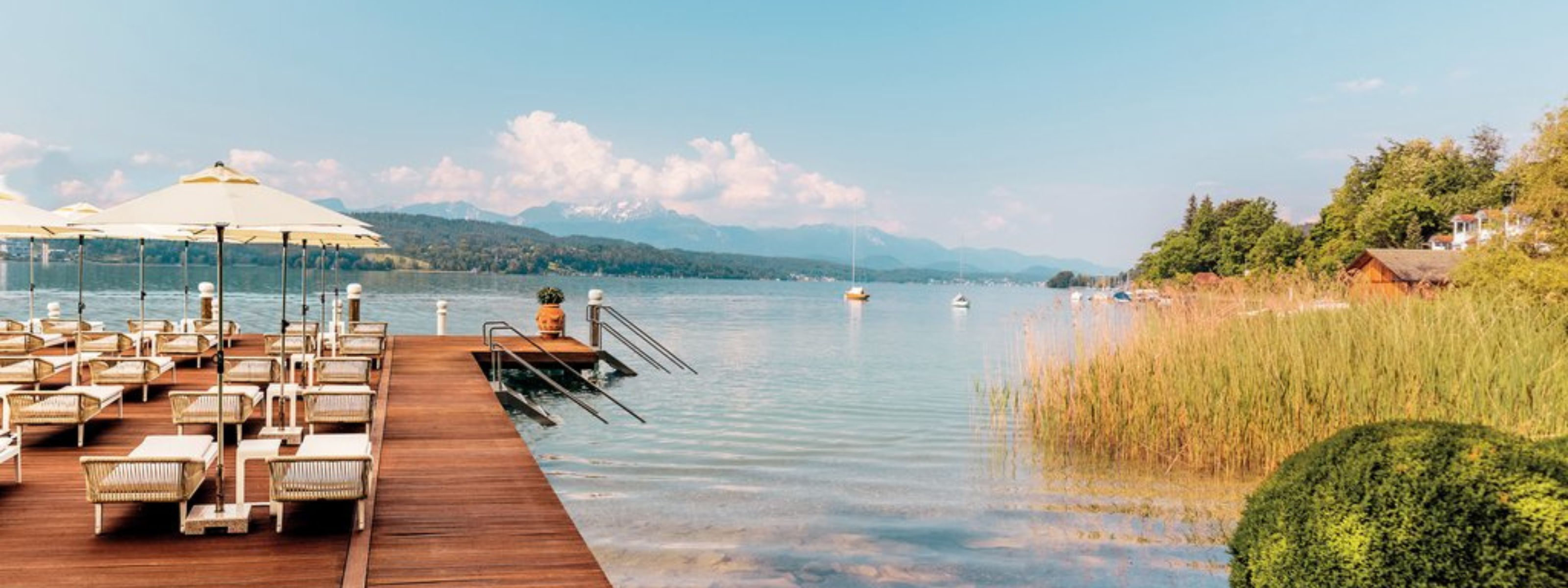 banners 2024 12 02t154306 614