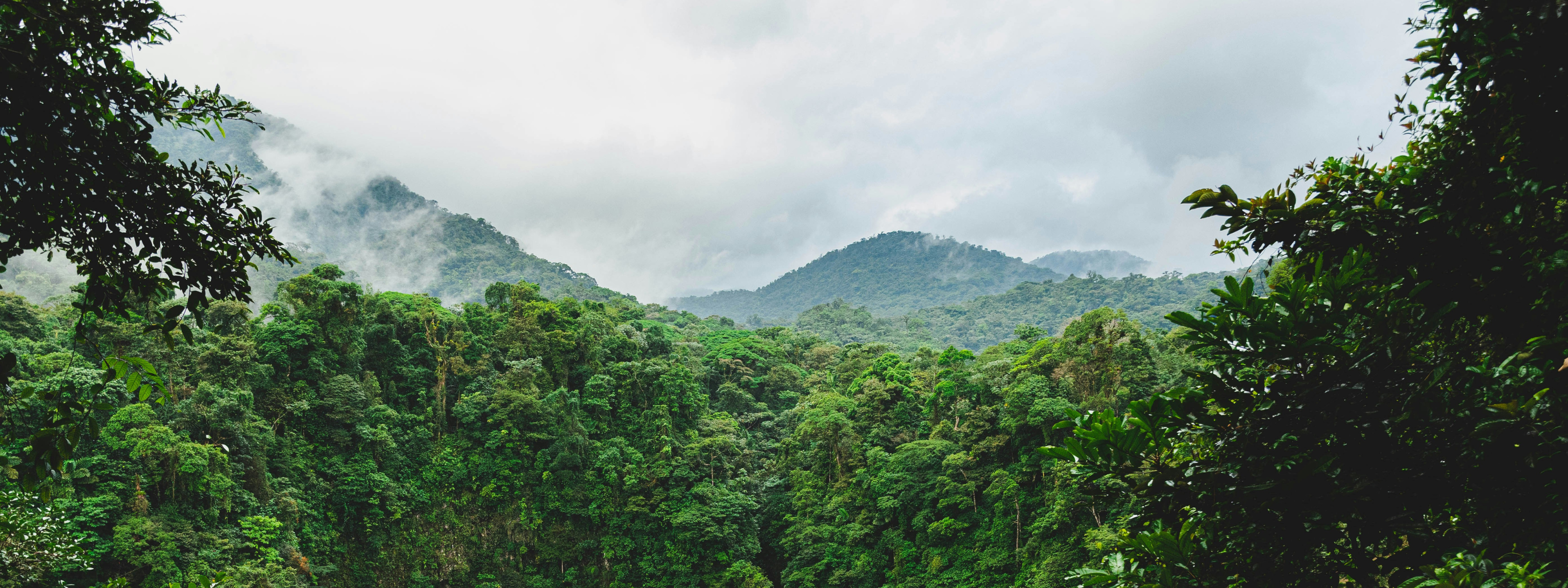 banners 2024 12 02t162322 786