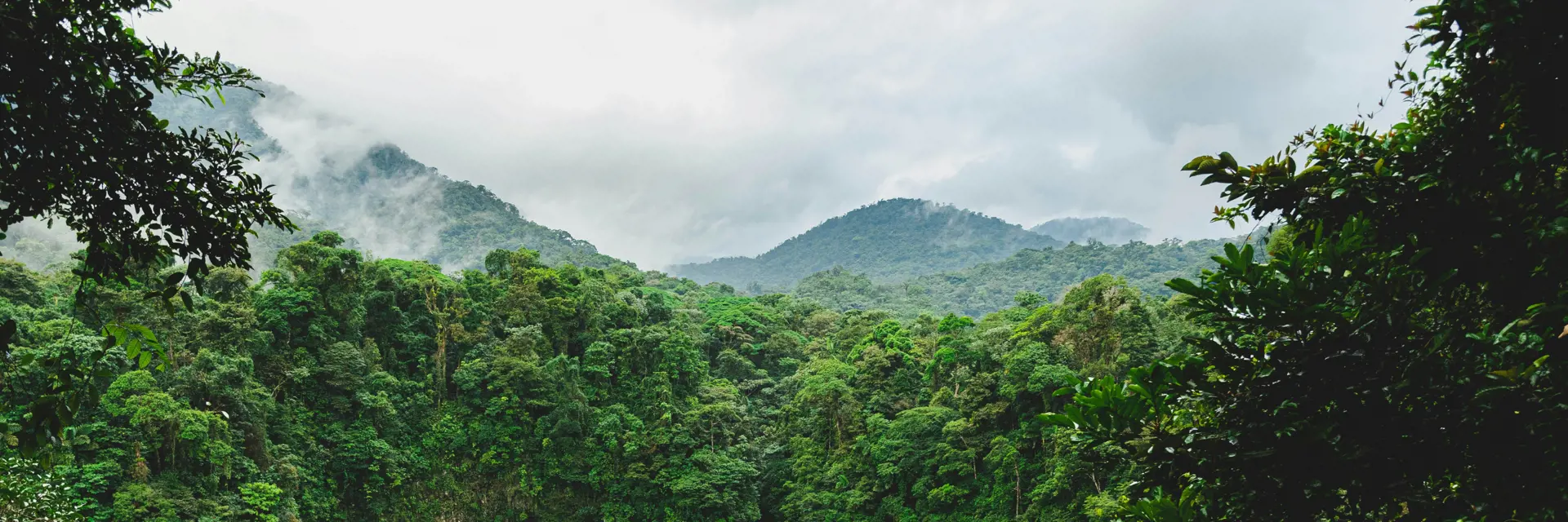 banners 2024 12 02t162322 786