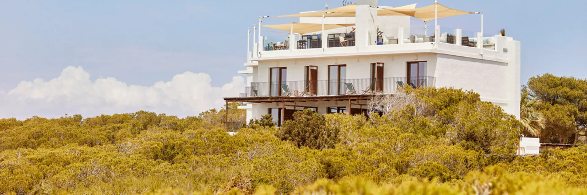 banners 2024 12 05t154513 439