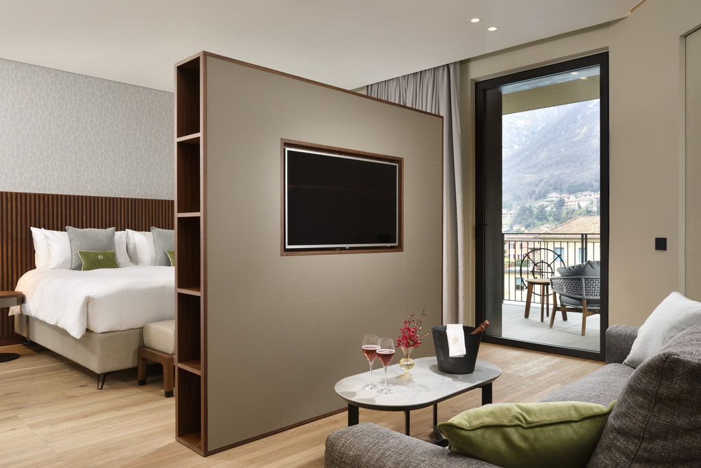 suite park view living area