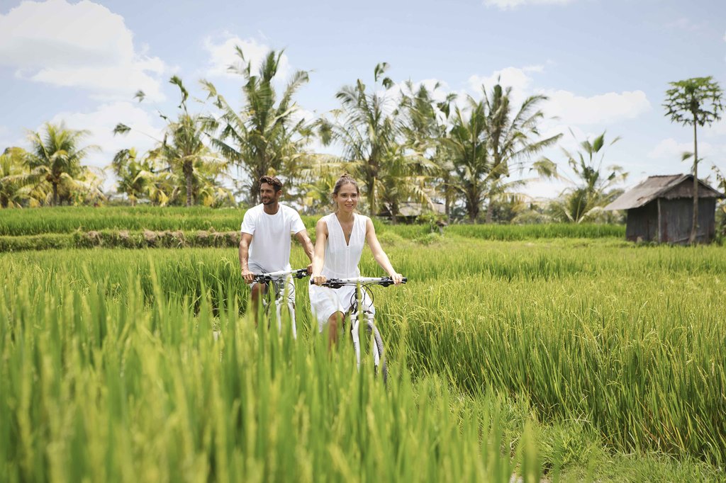 28 rice paddy trek