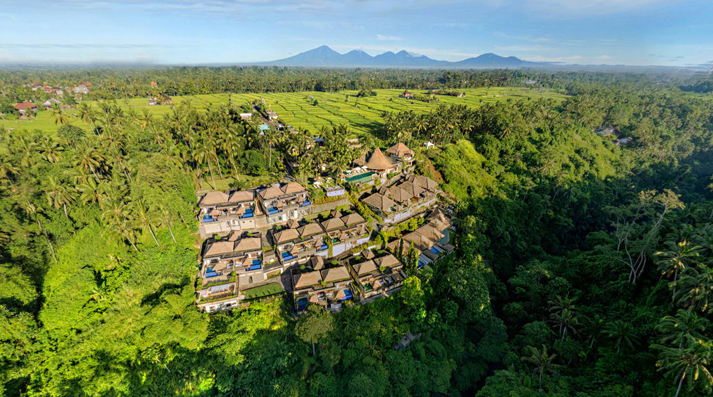 29 aerial view village