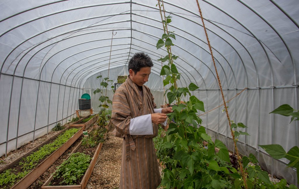 green house