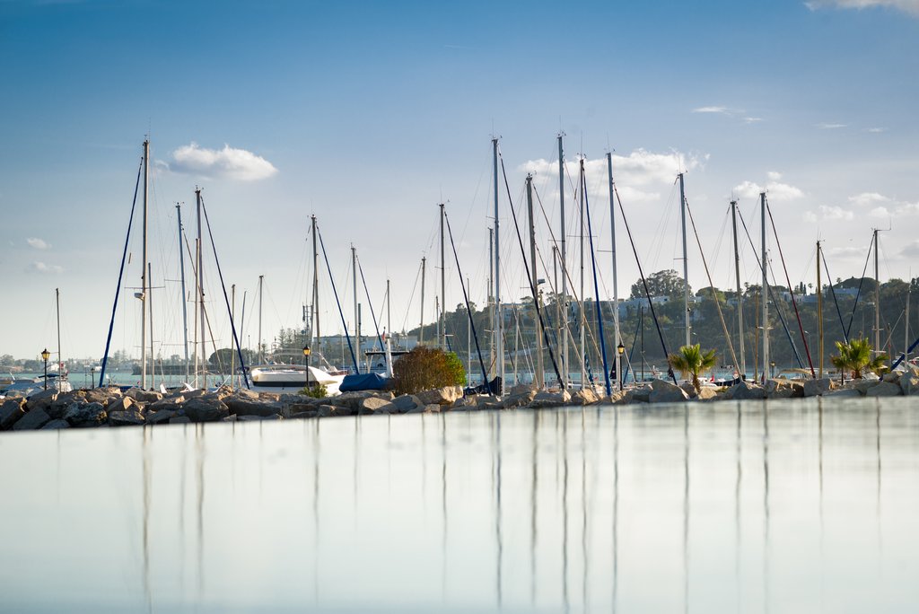 marina view