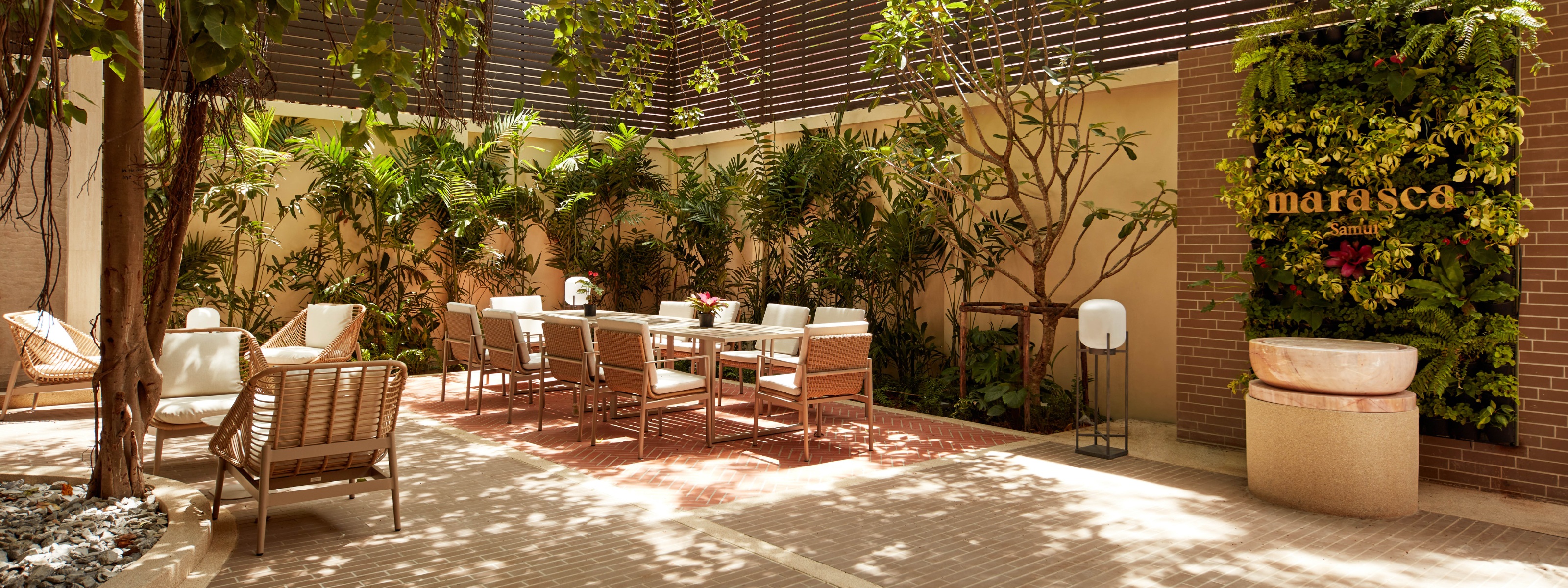 marasca samui restaurant