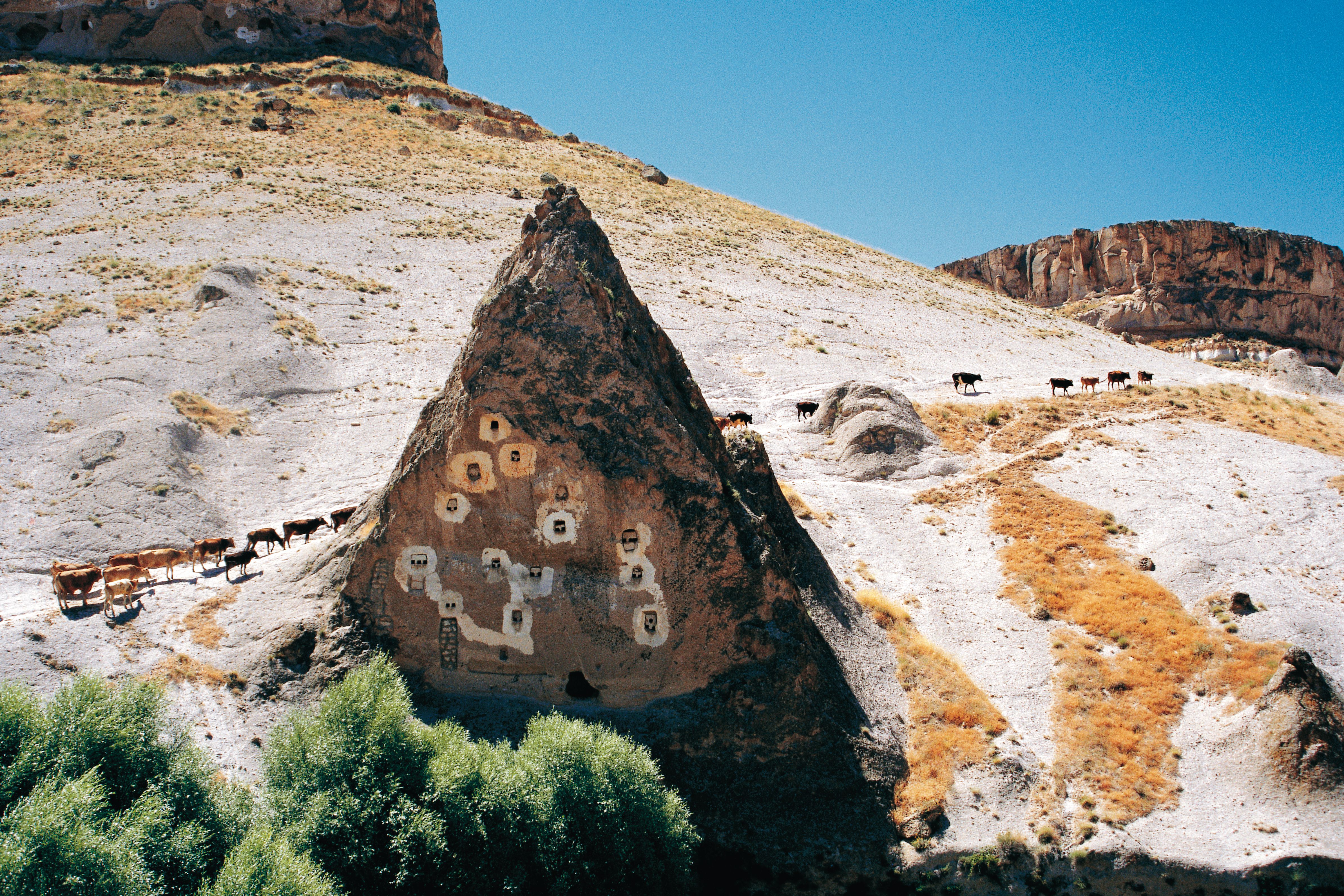 mg 08 cappadocia soganlı sıgırlar