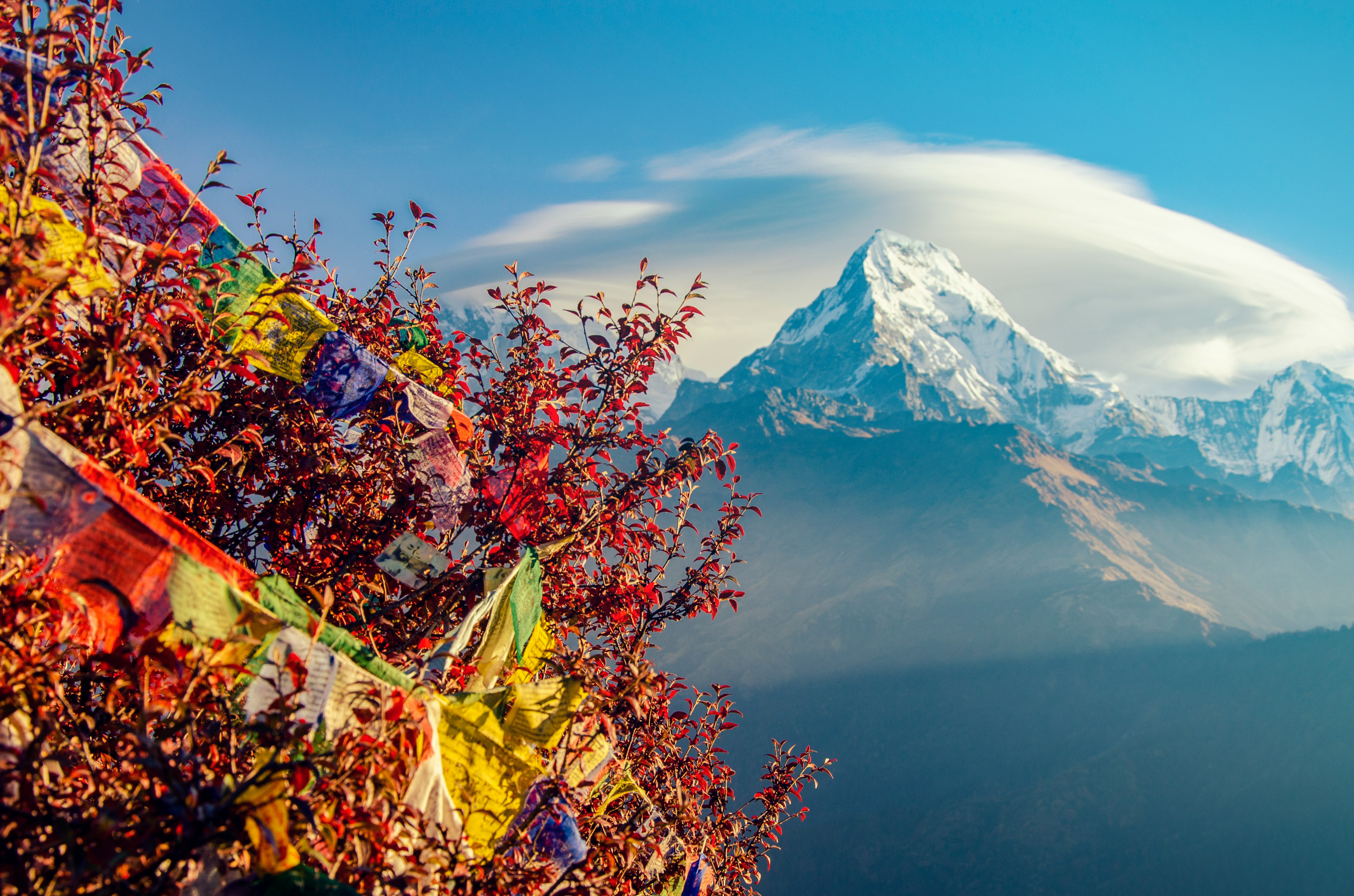 just looking annapurna at poon hill in nepal