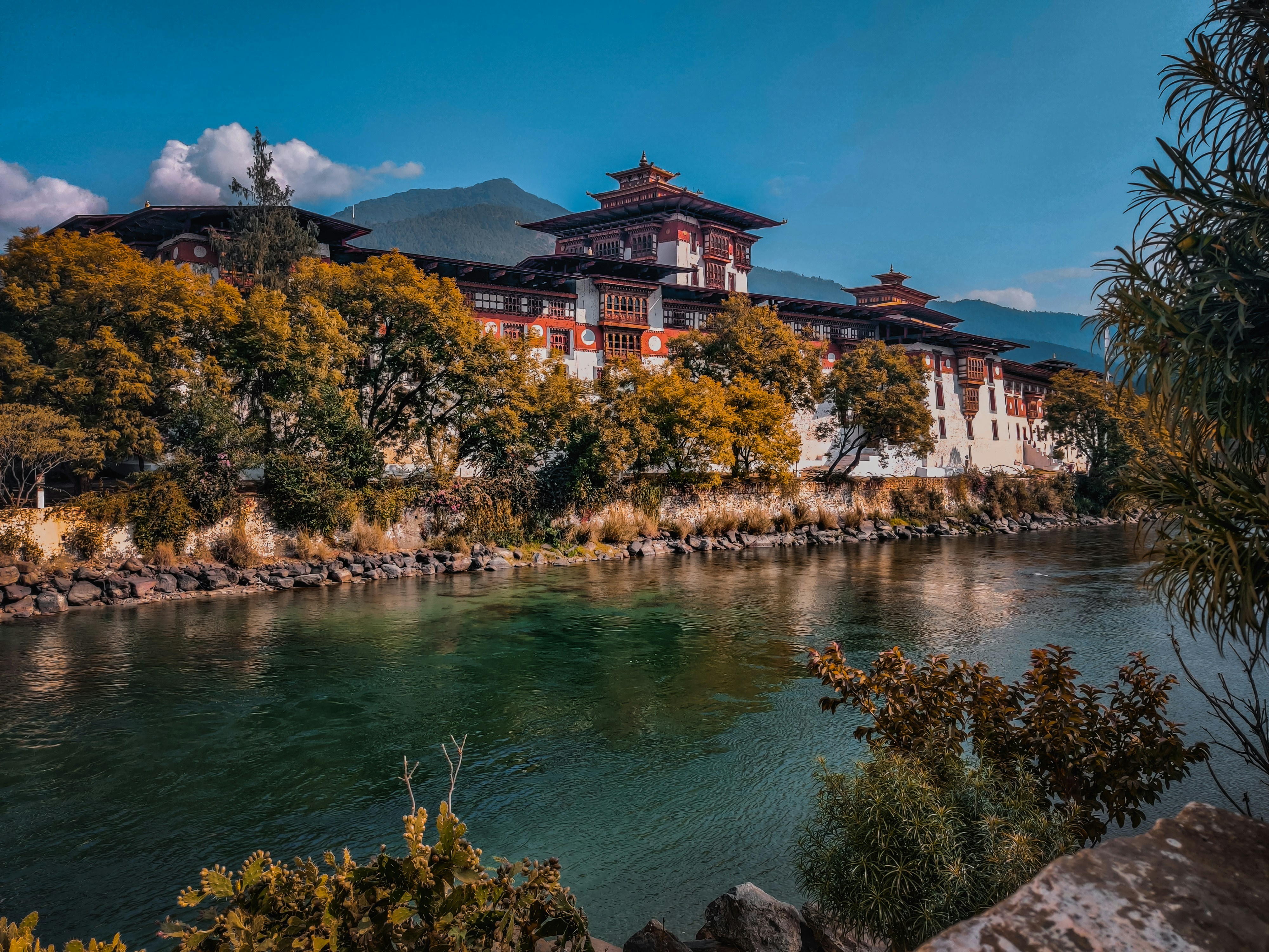 punakha dzong punakha bhutan