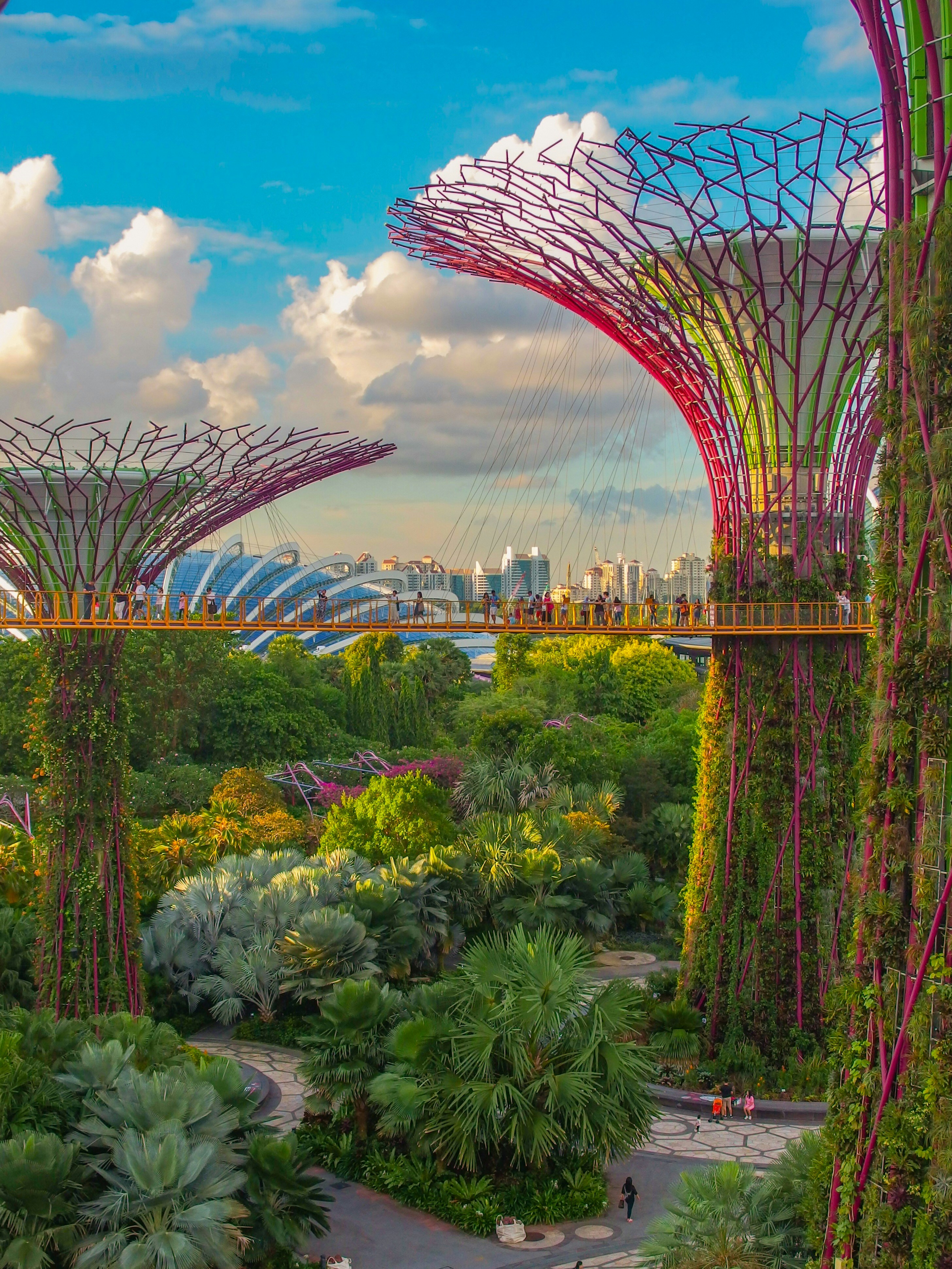signapore