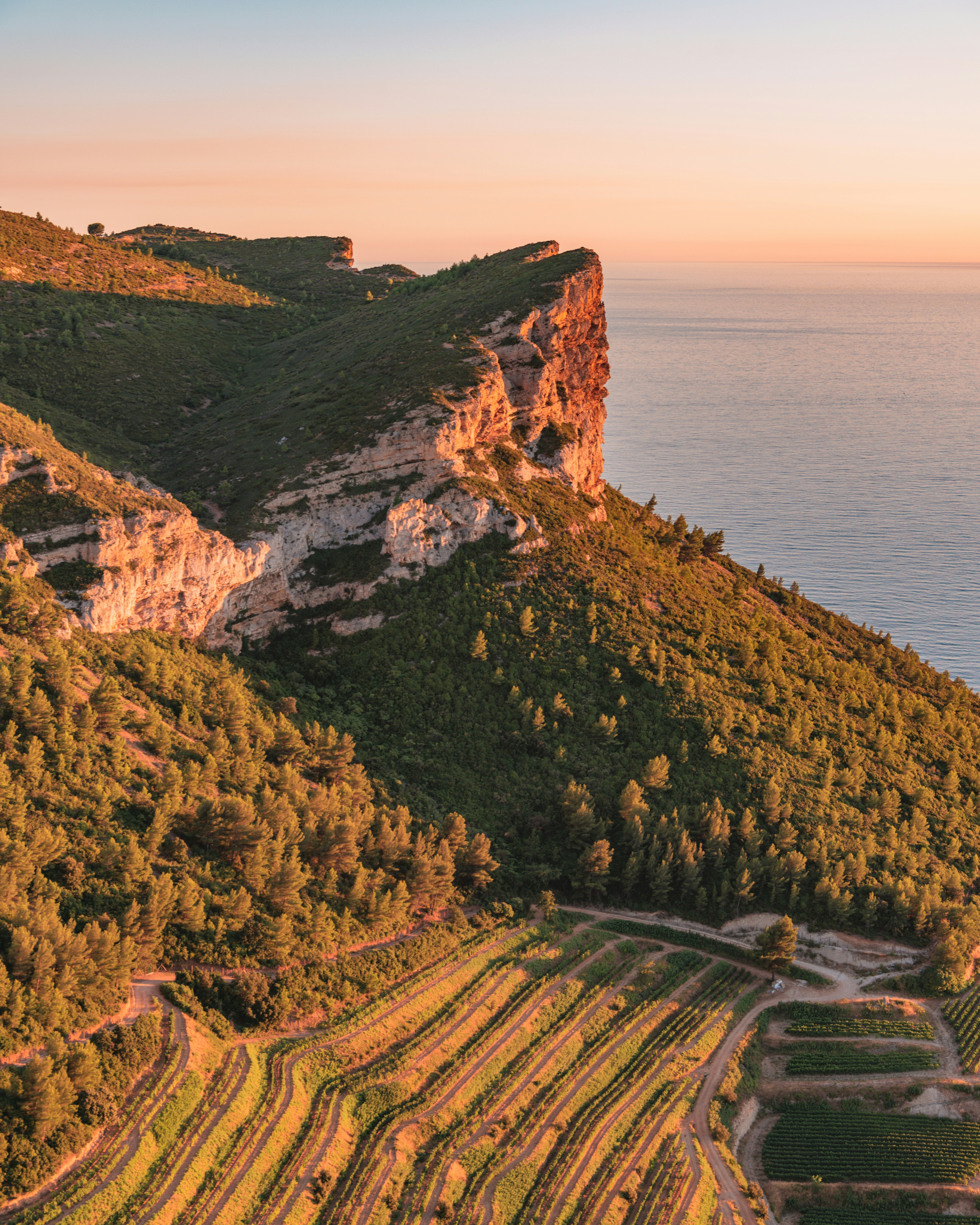 cassis green