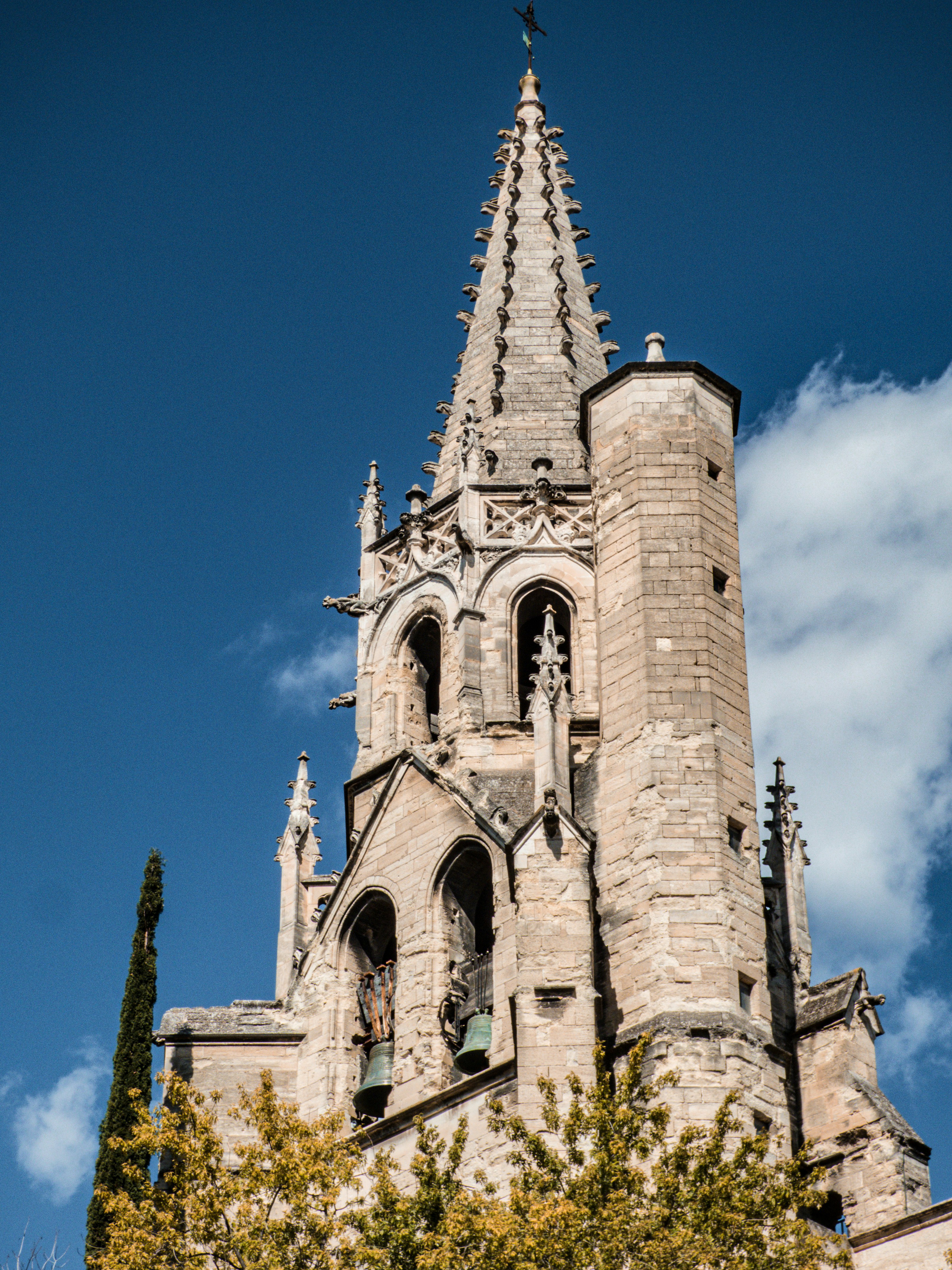 avignon