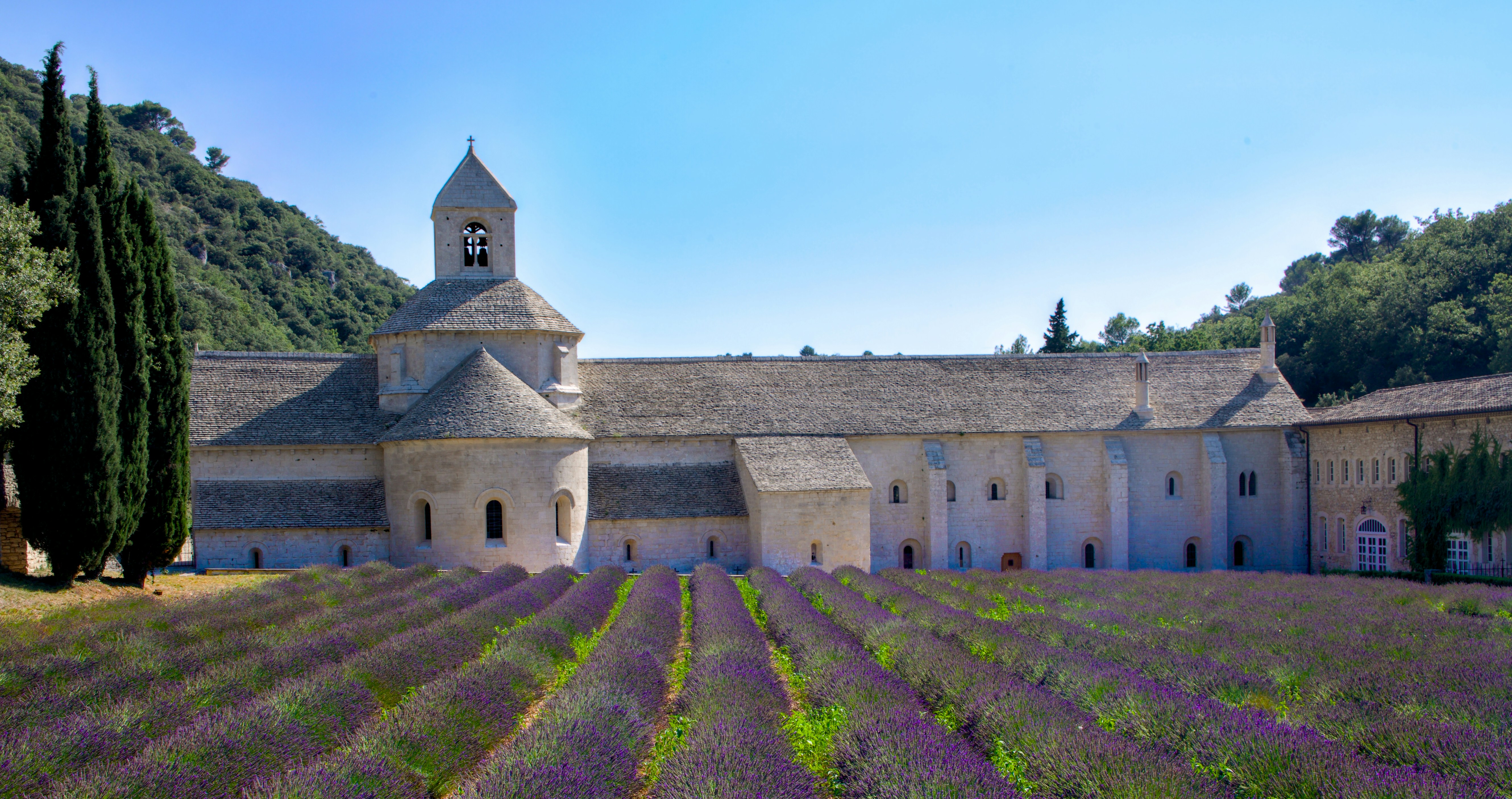 abbaye notre dame de senanque gordes france