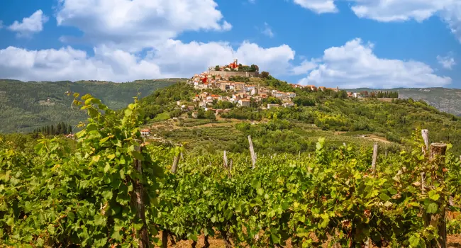 Genieten in het groene Istrië