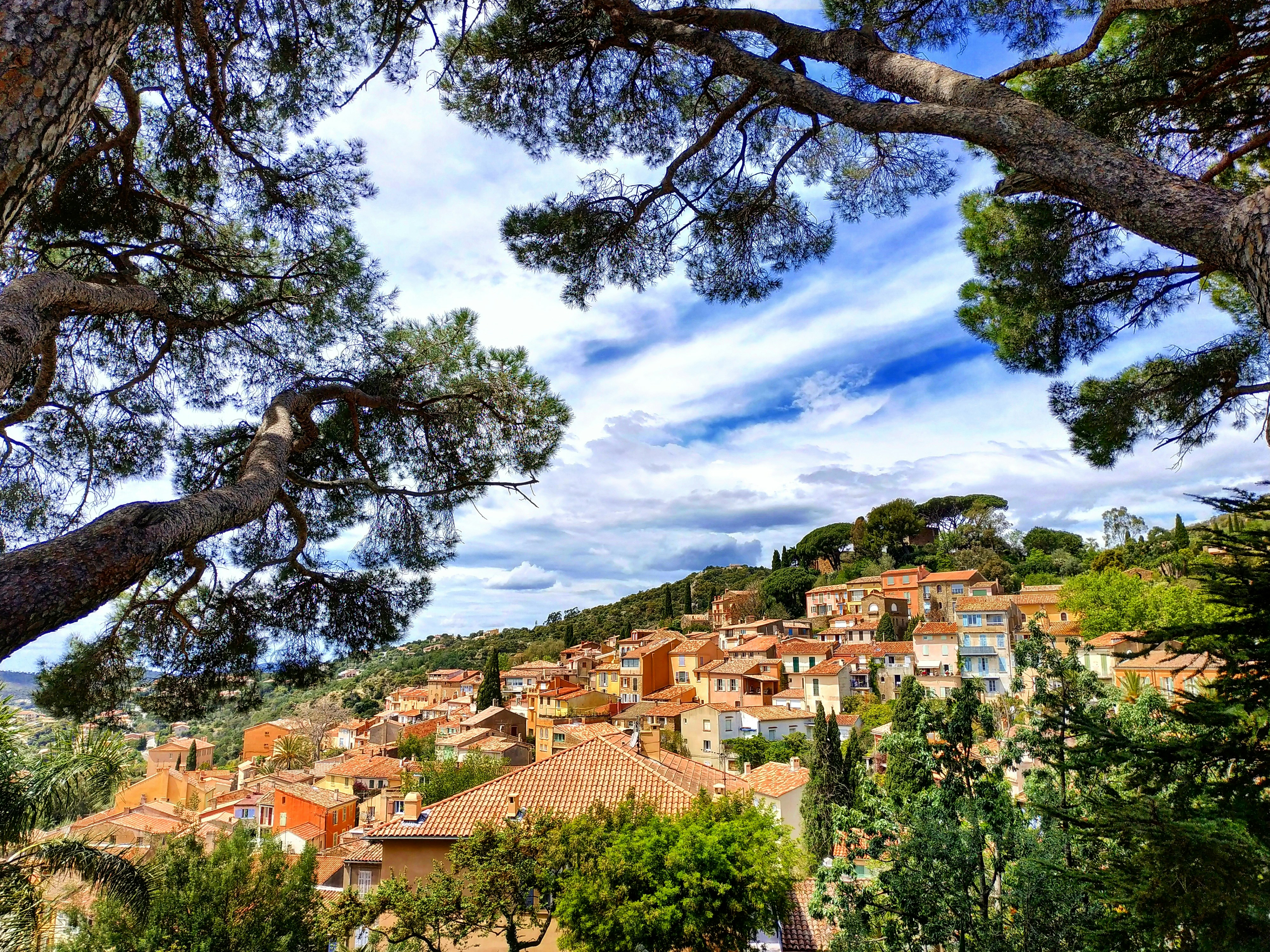 bormes les mimosas