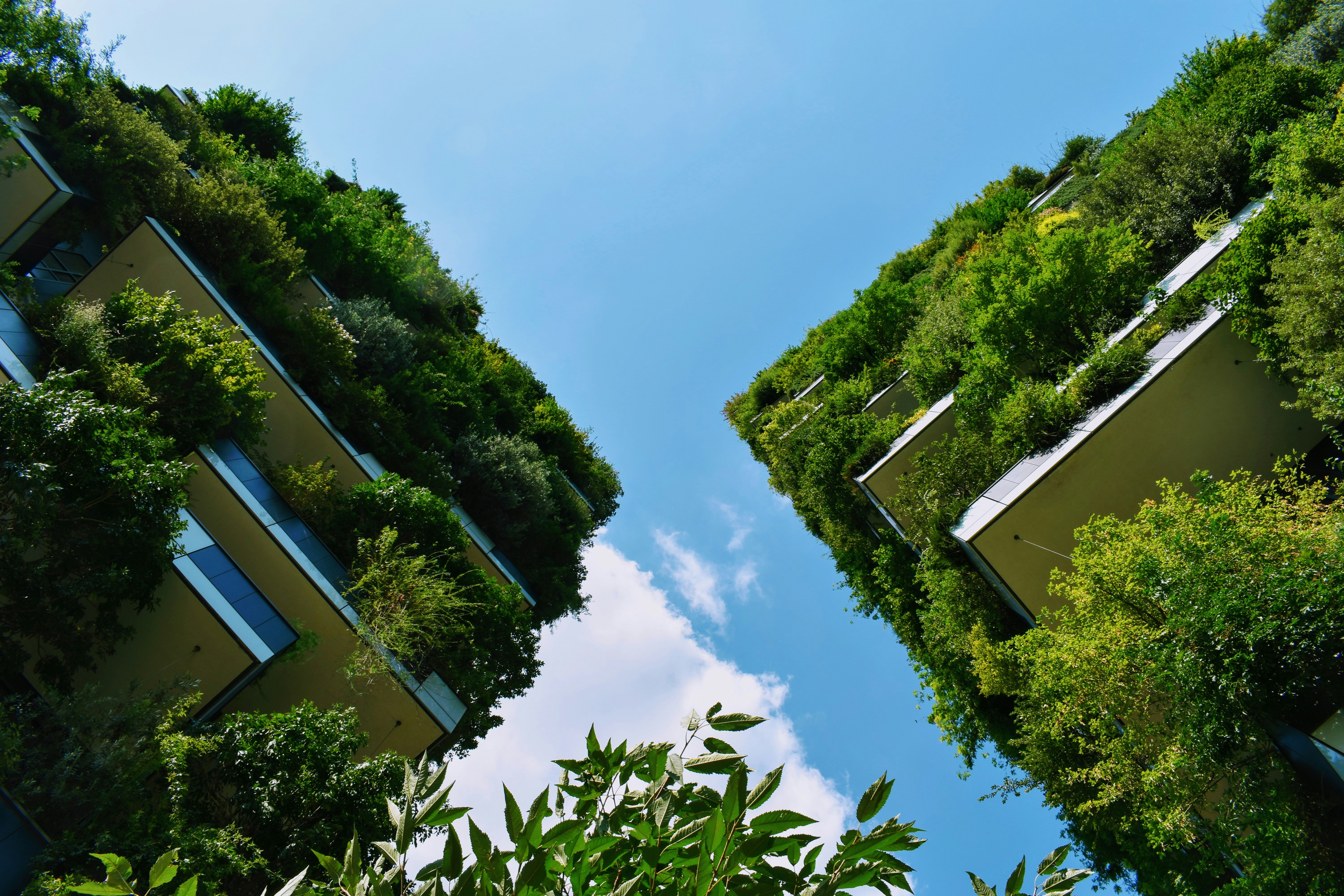 bosco verticale milan italy