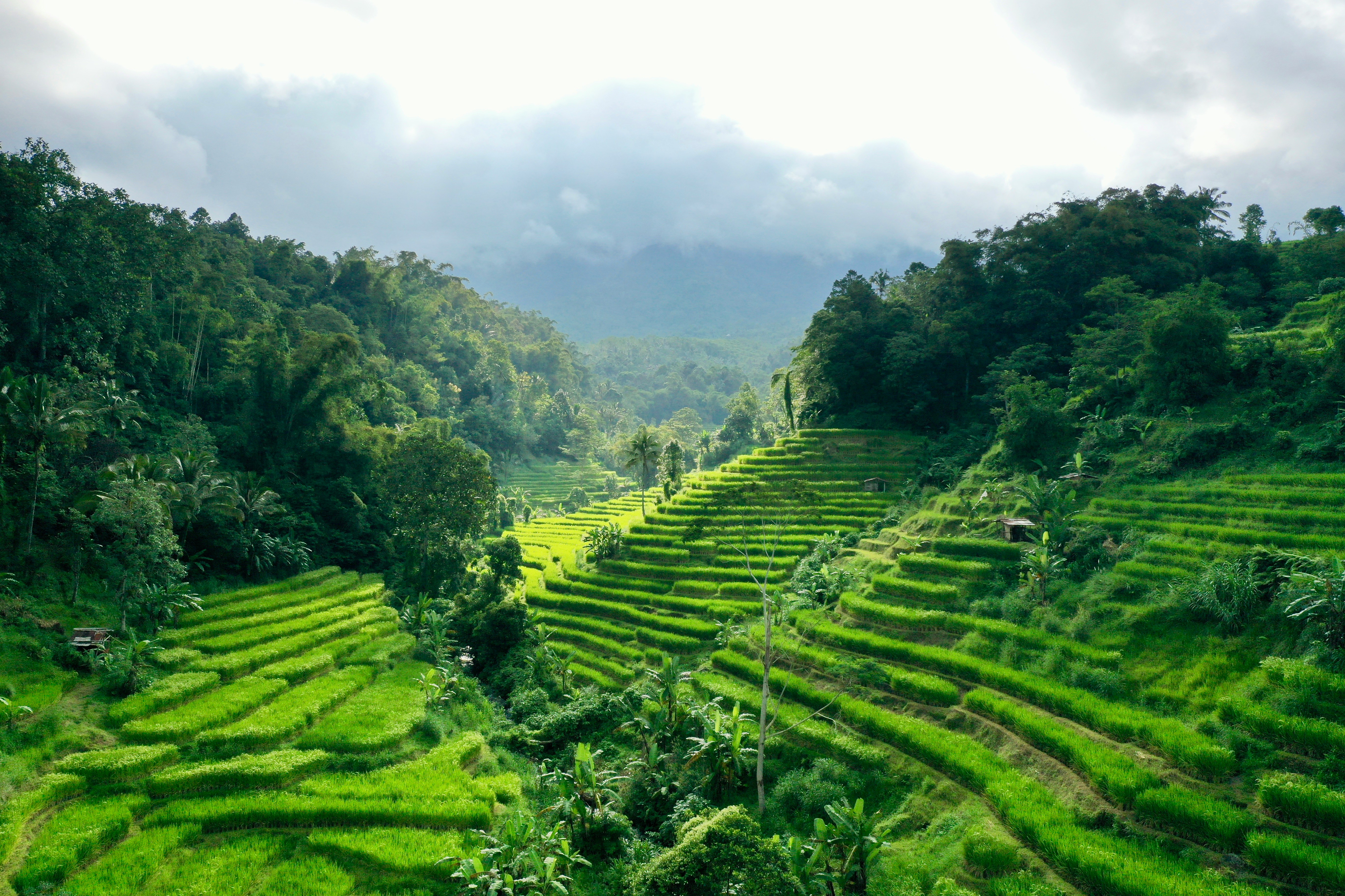 tabanan