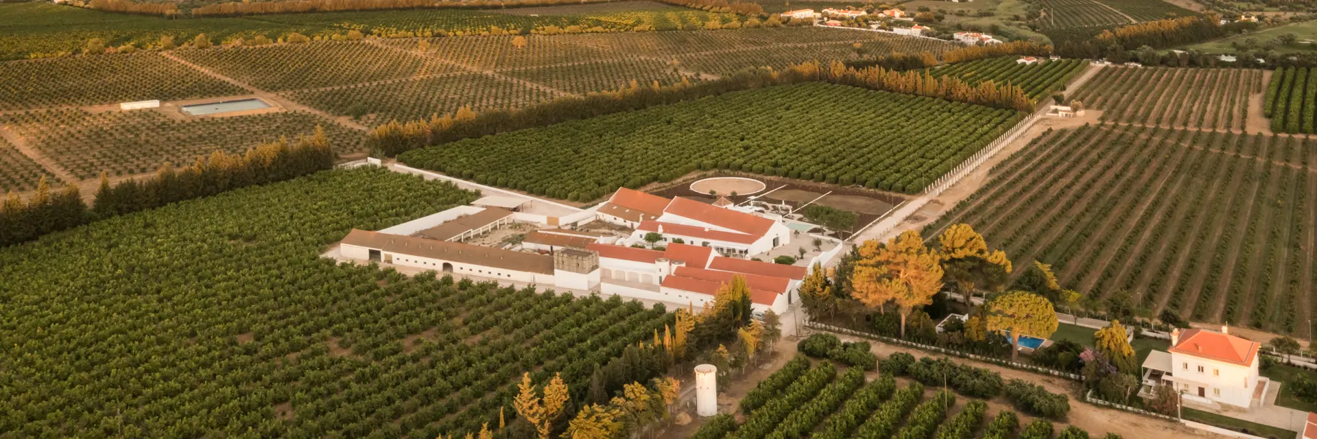 Casas da Quinta de Cima