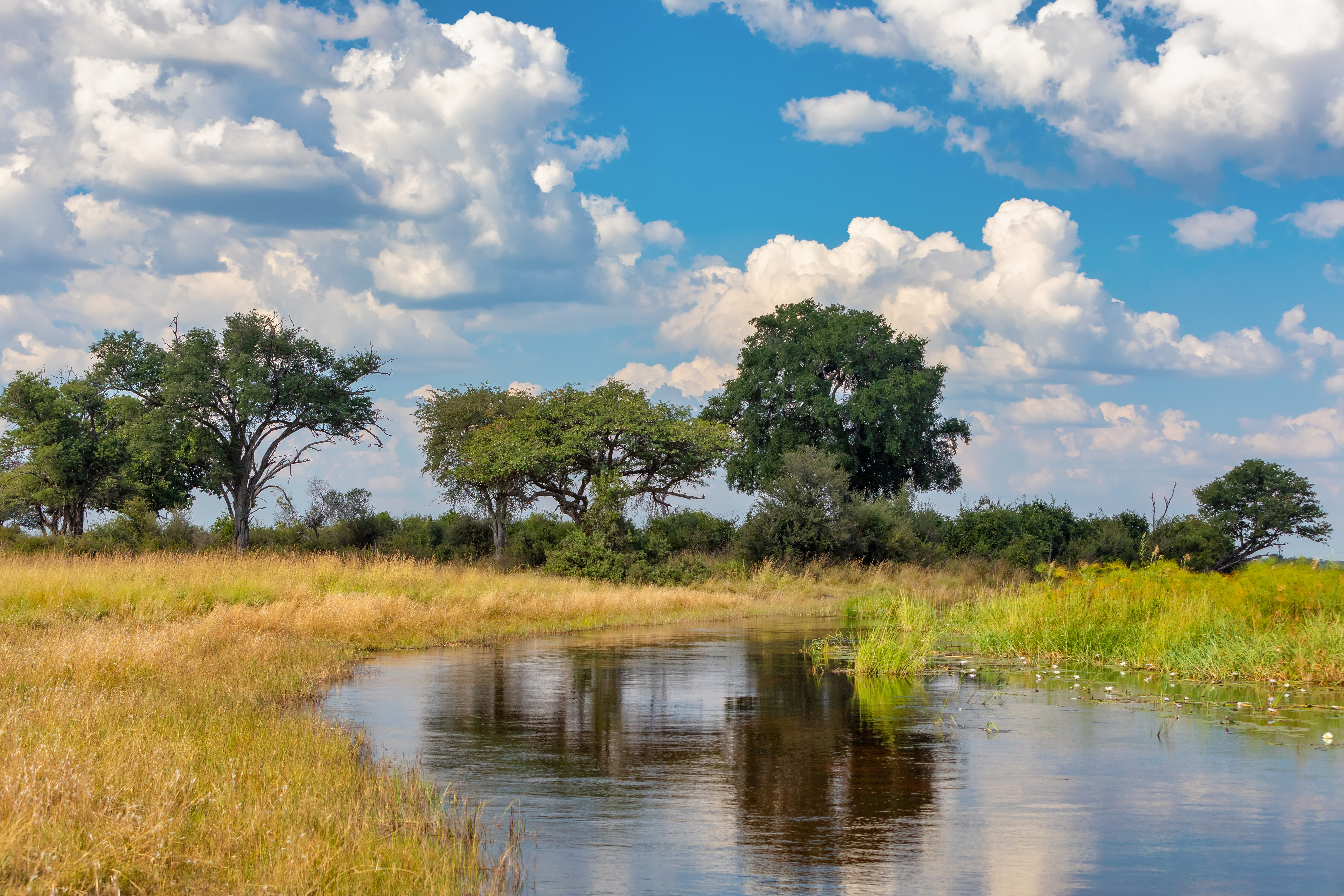 bwabwata national park