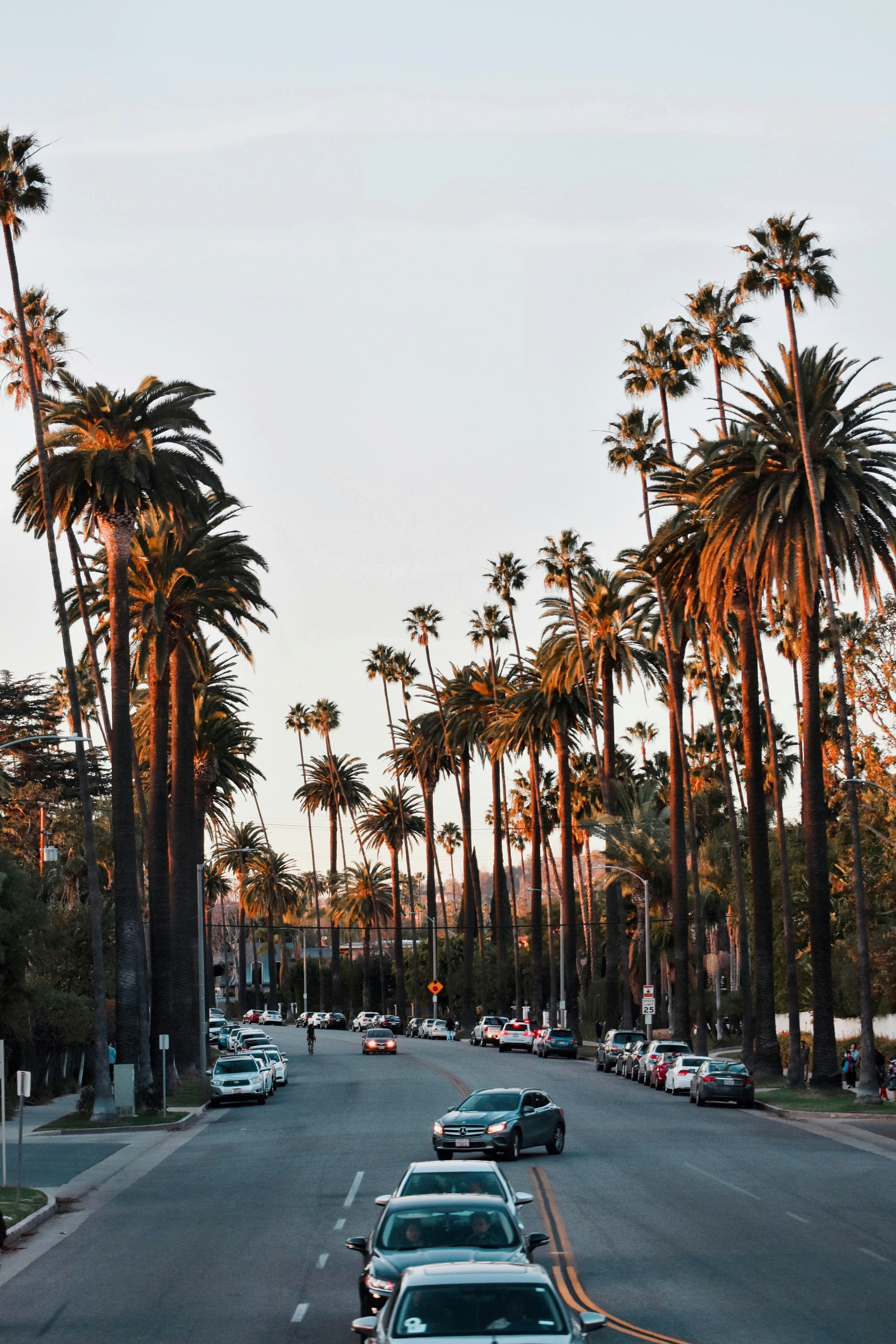 beverly hills