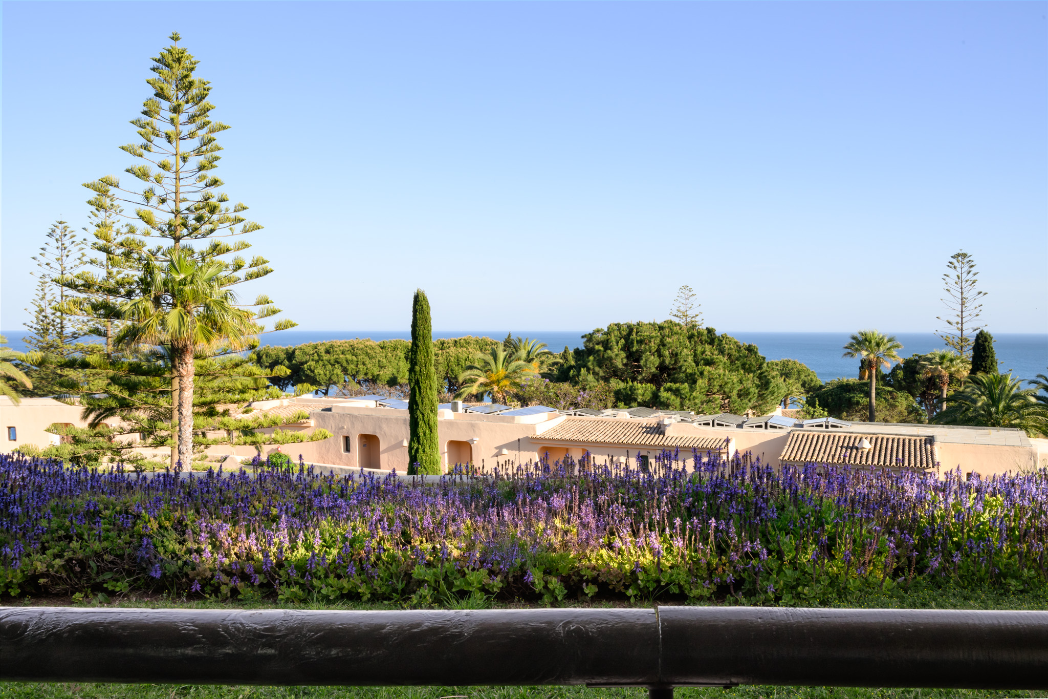 room junior suite ocean view 6