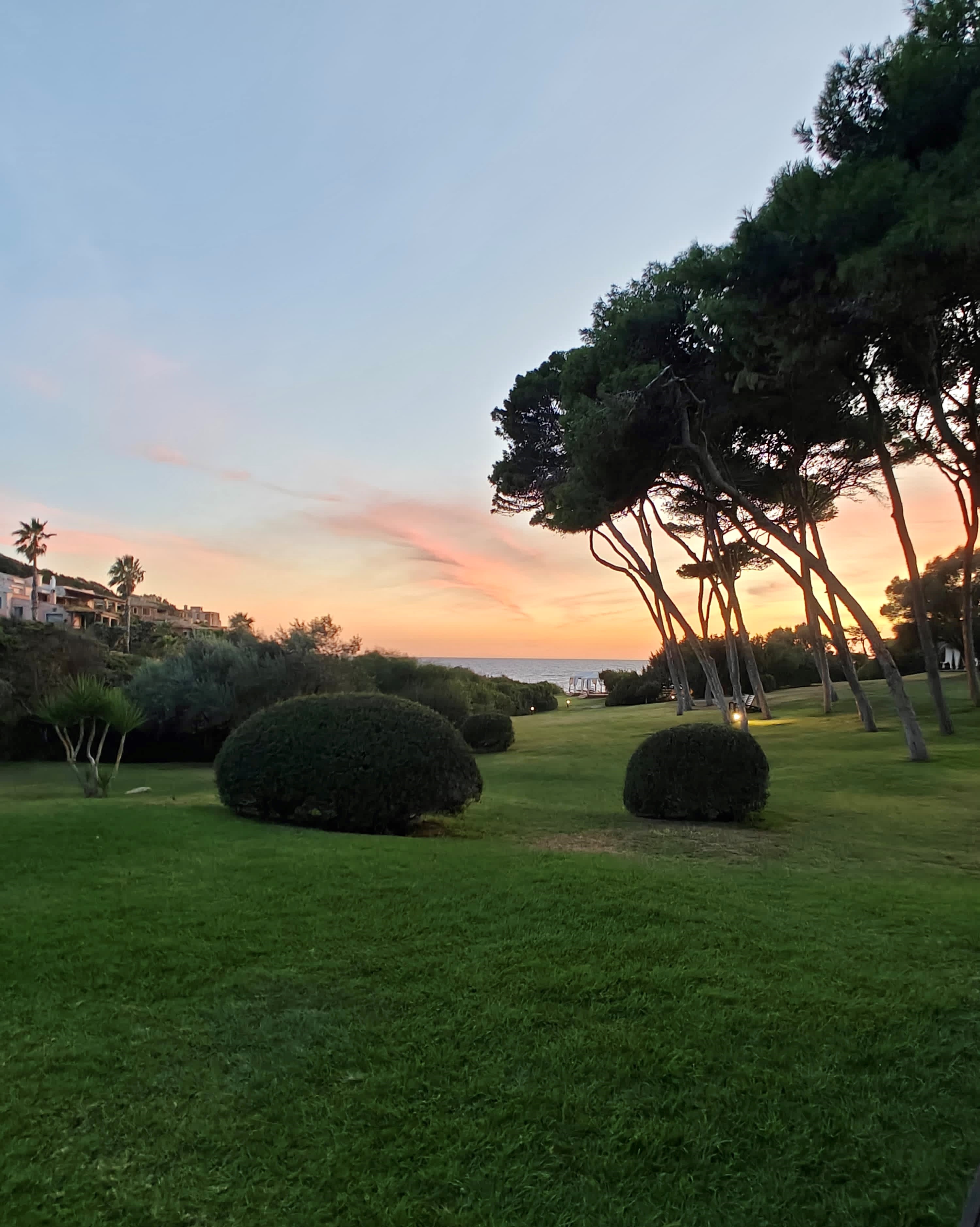 tramonto parco