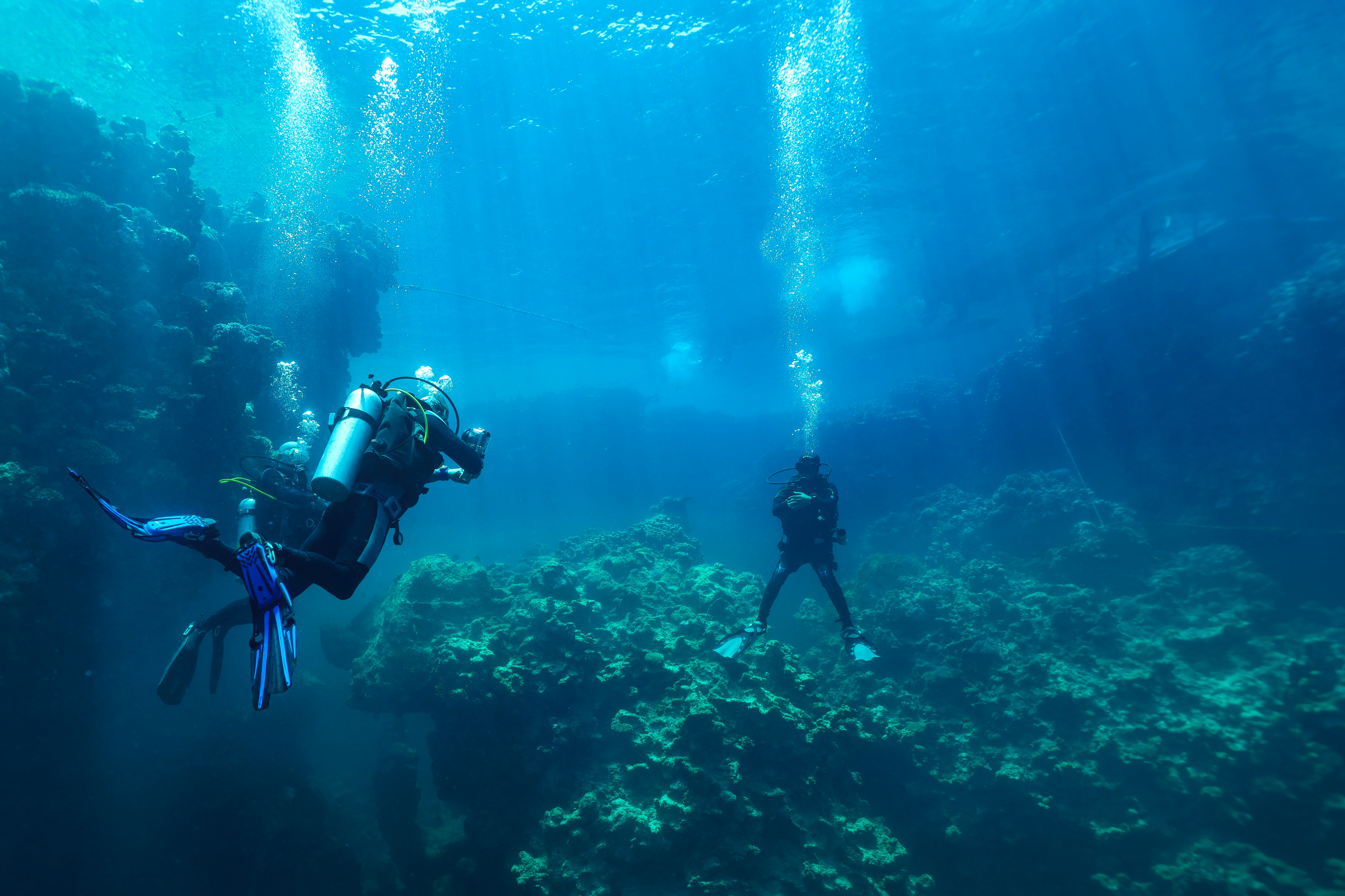 diving in koh tao