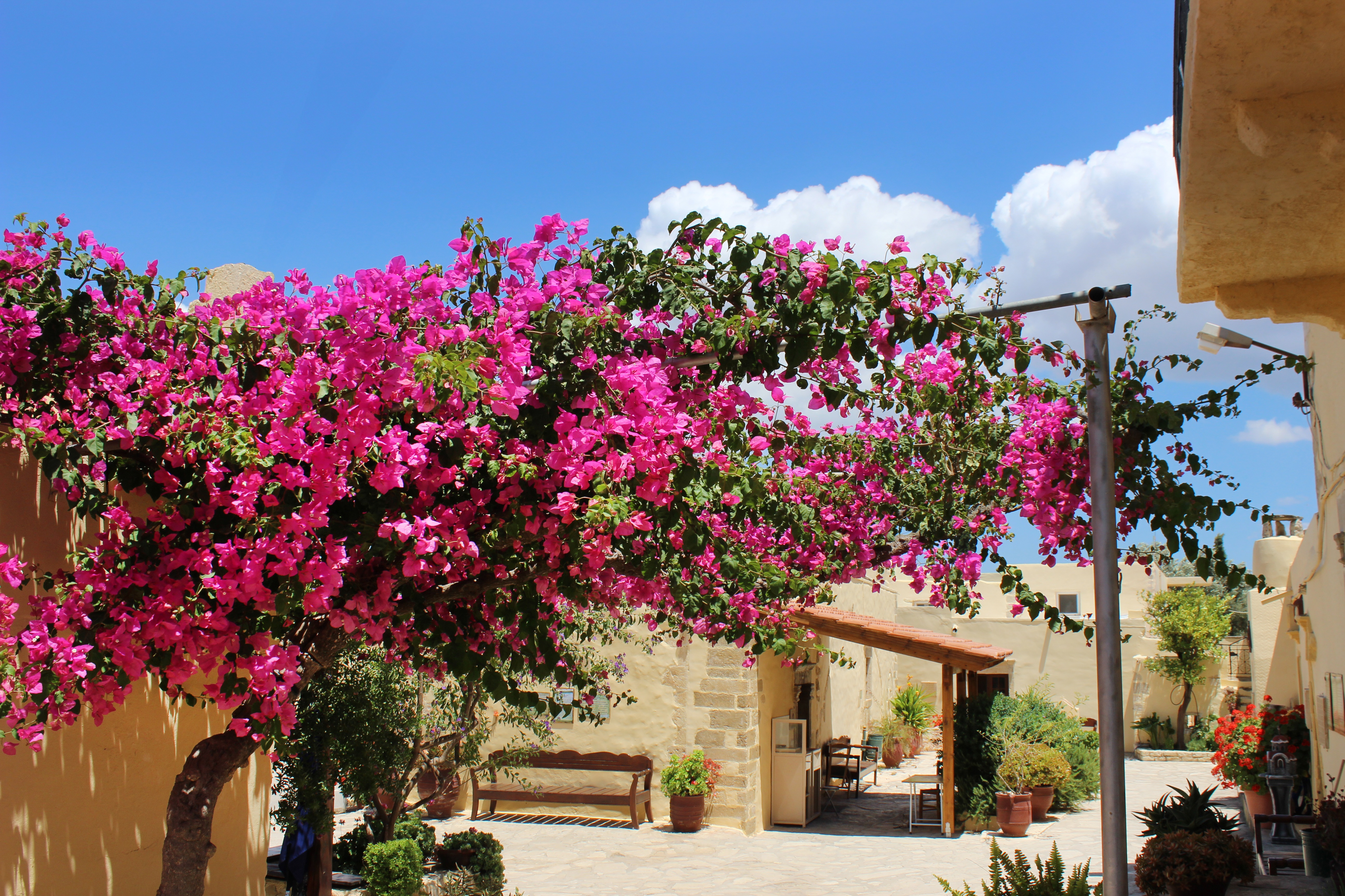 grrr0012 kreta 4