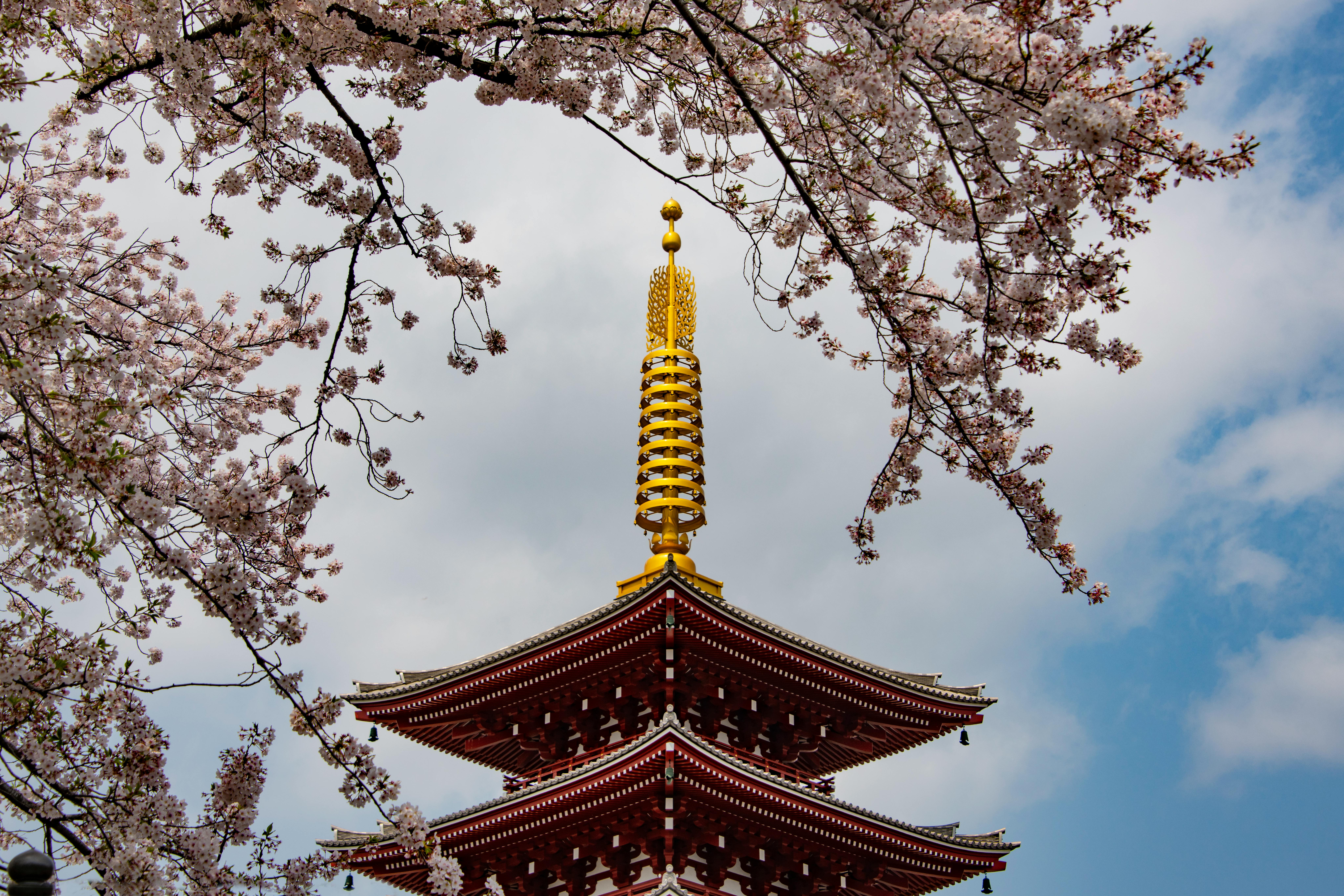 asakusa tokio