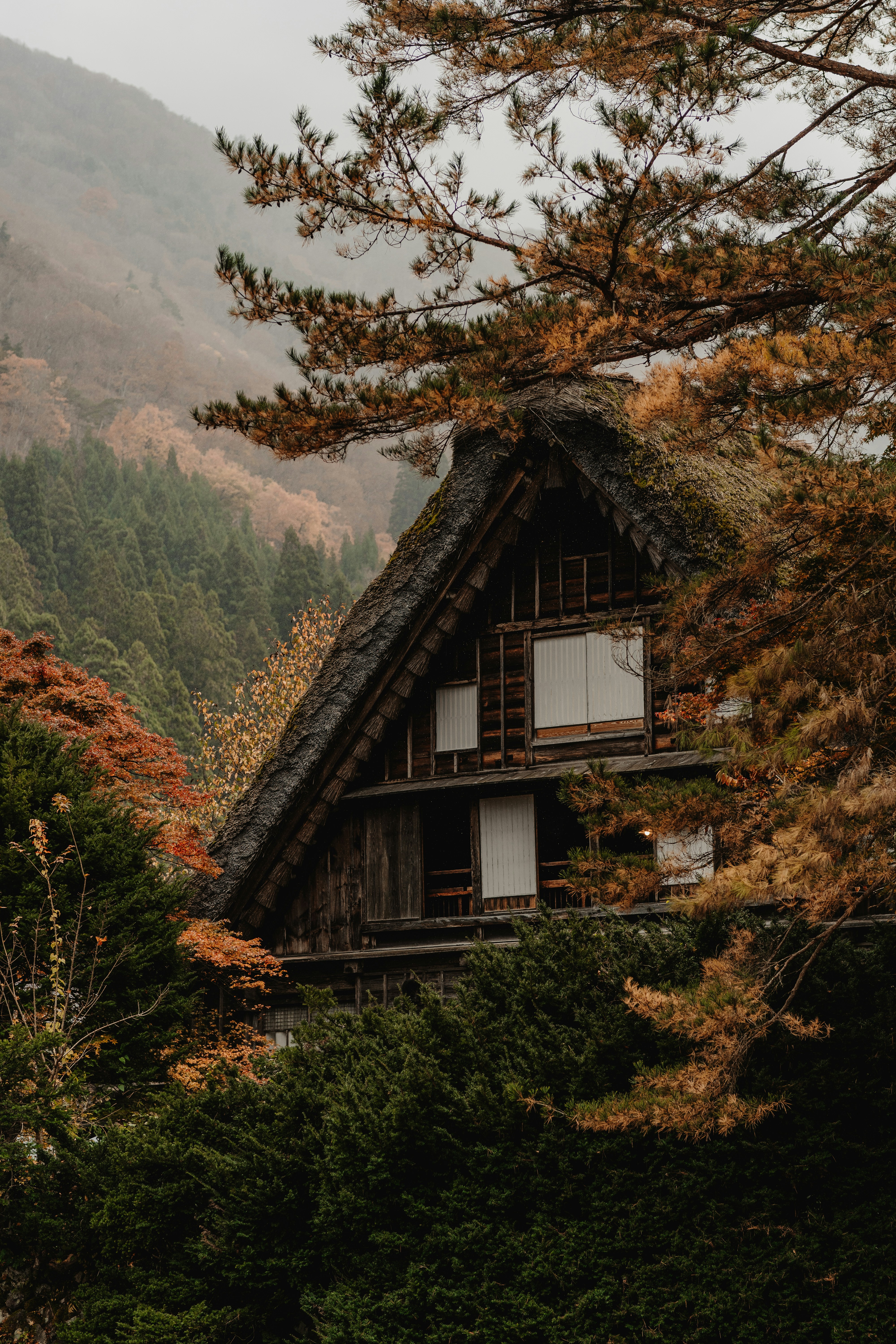 shirakawa go