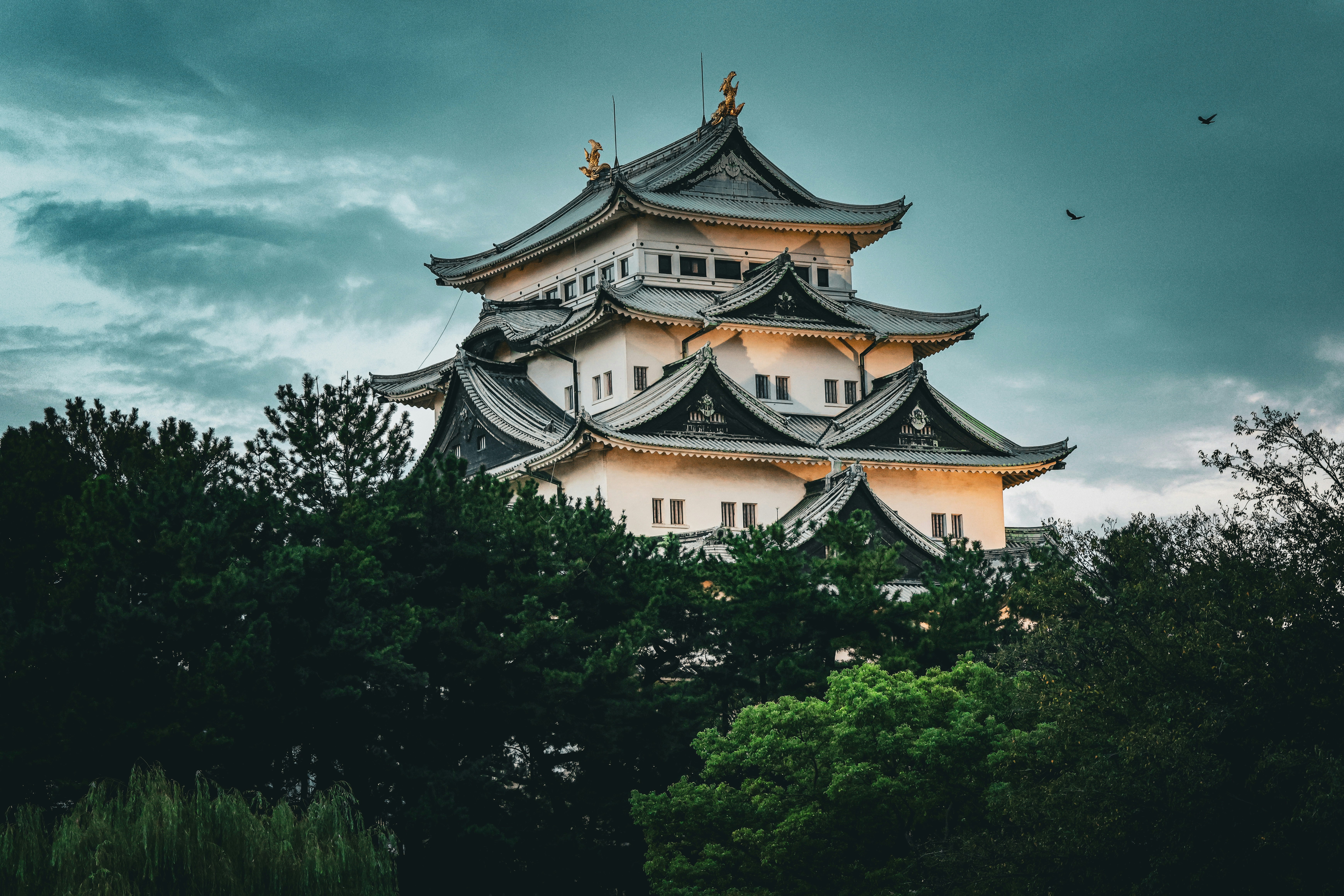 nagoya castle japan