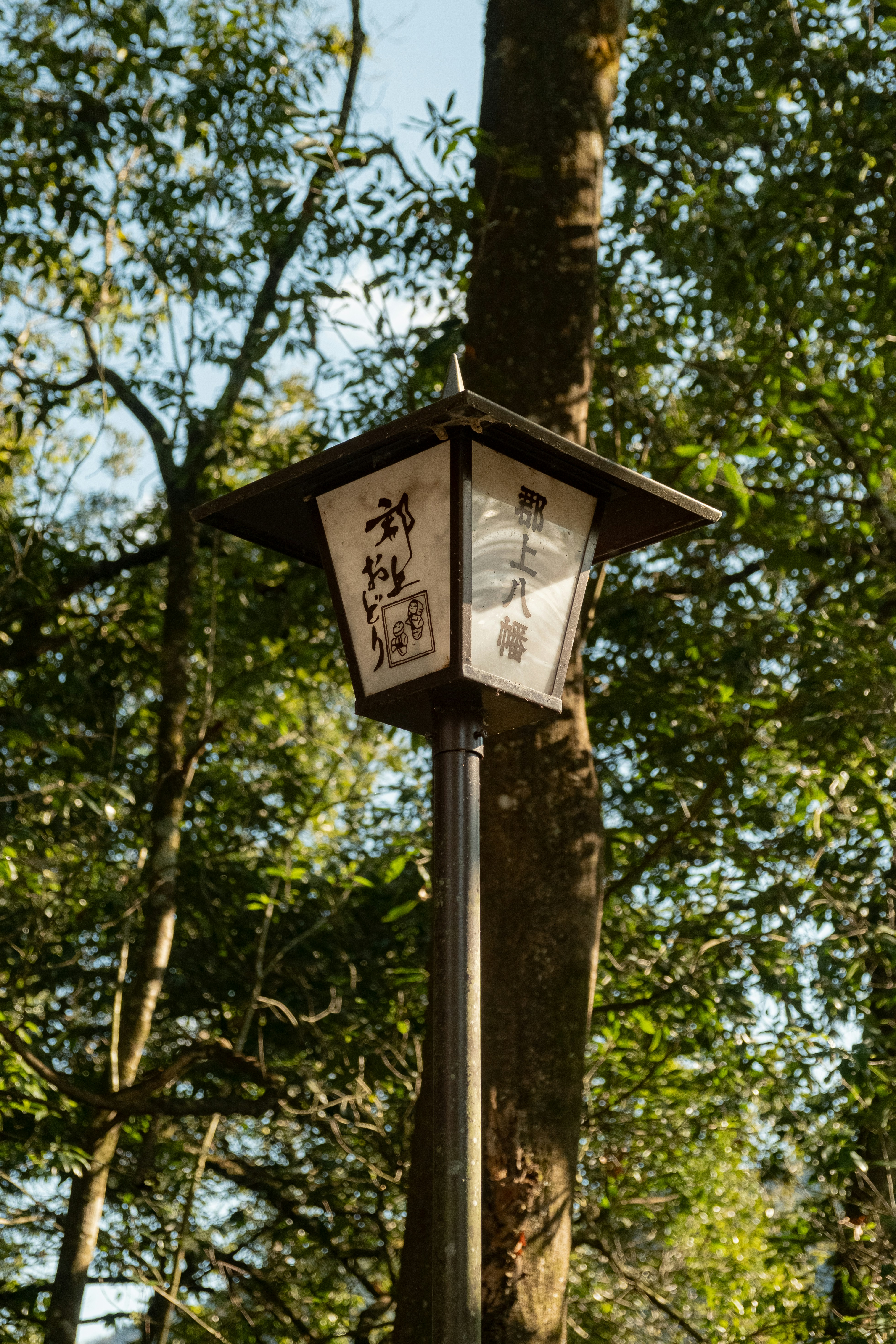 gujo hachiman lantern