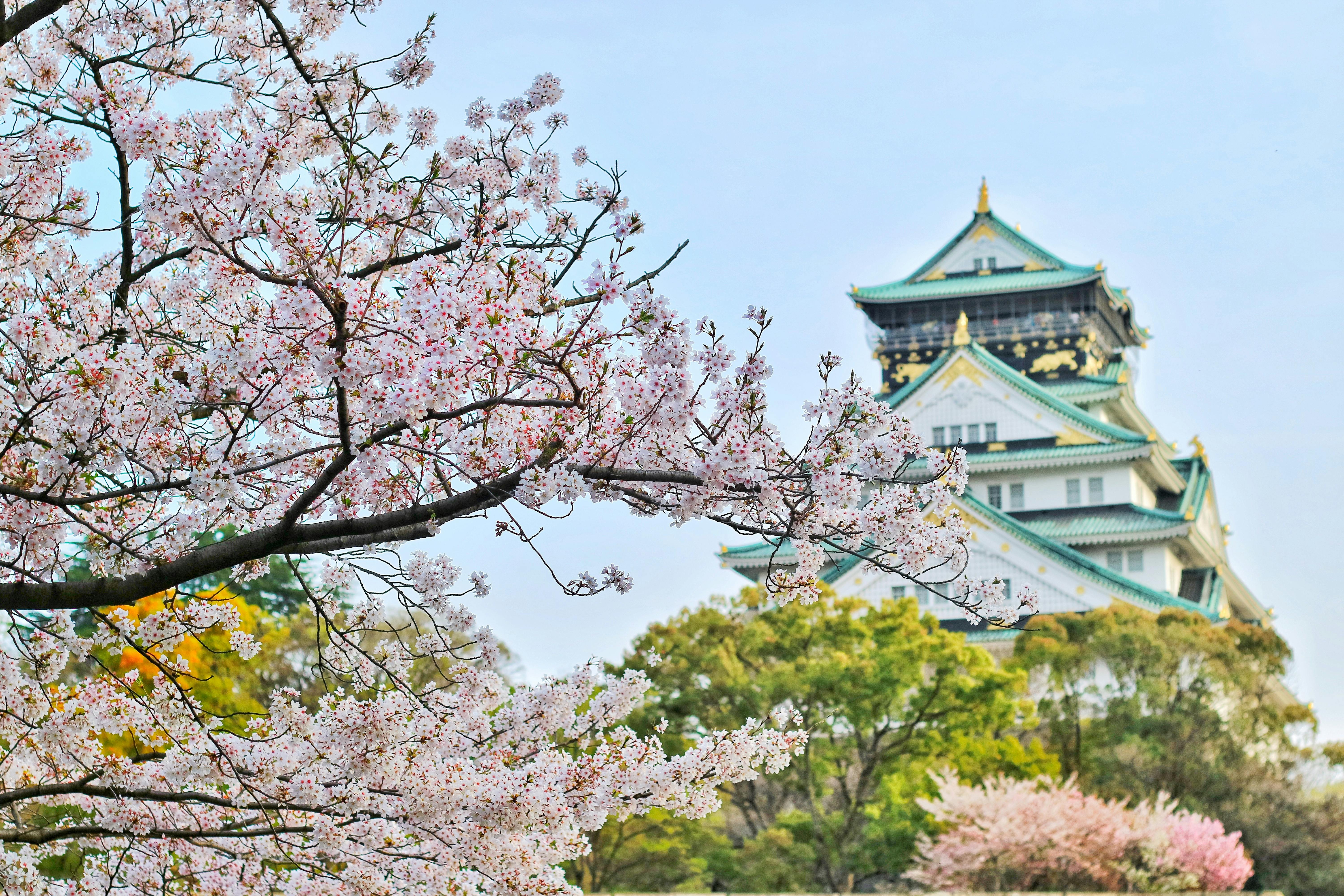 osaka castle