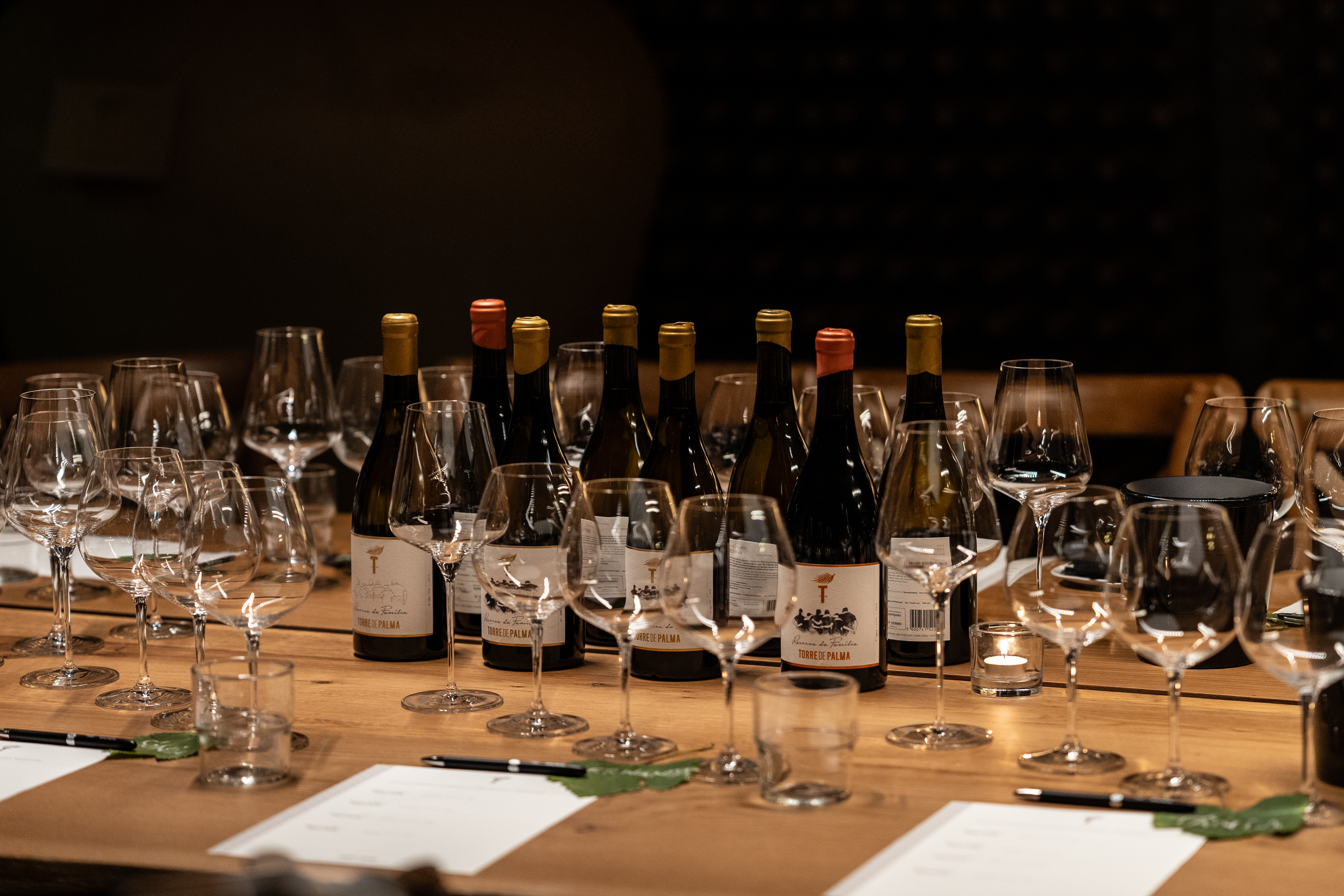 torre de palma alentejo 33