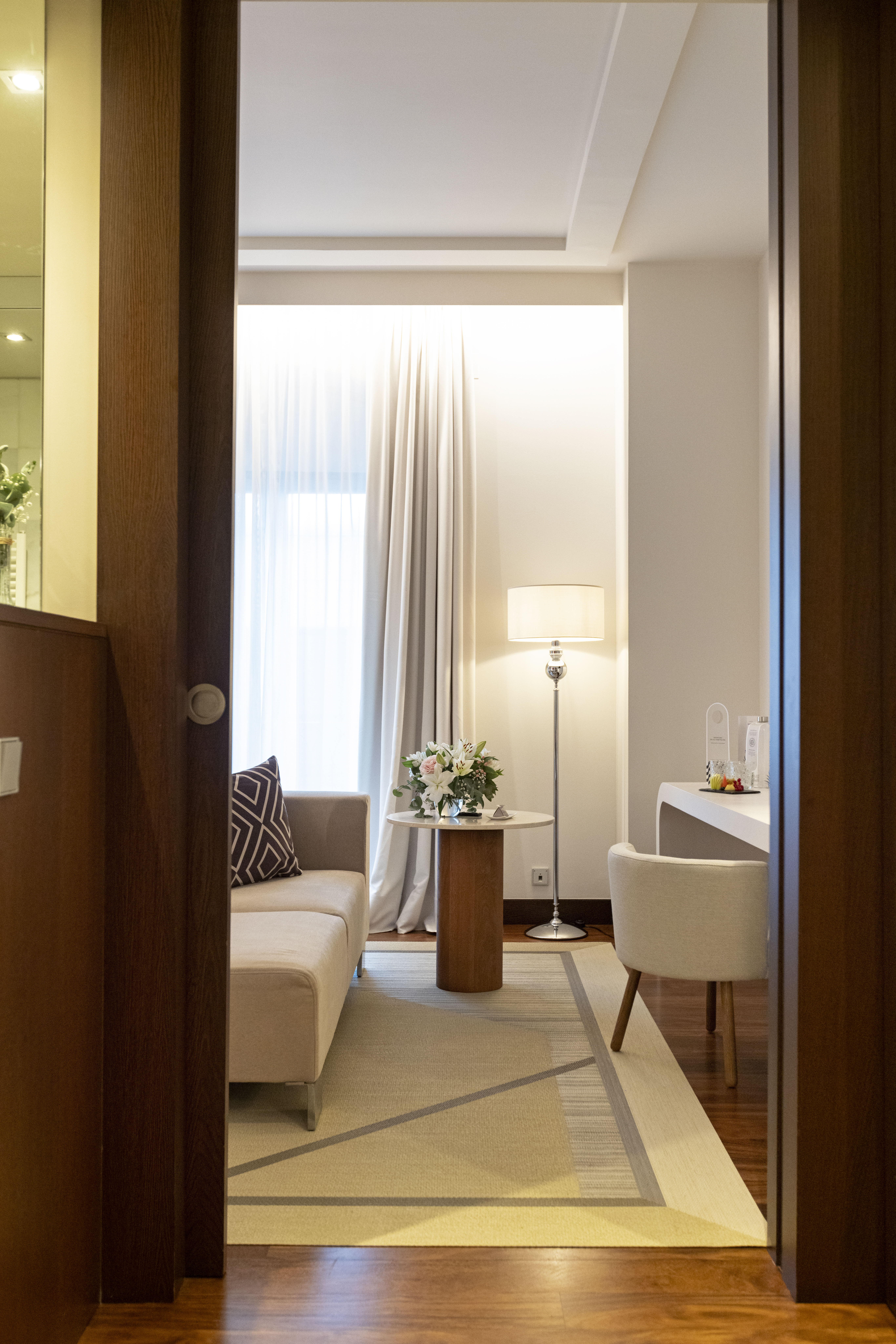 dreamer entrada 1 copia