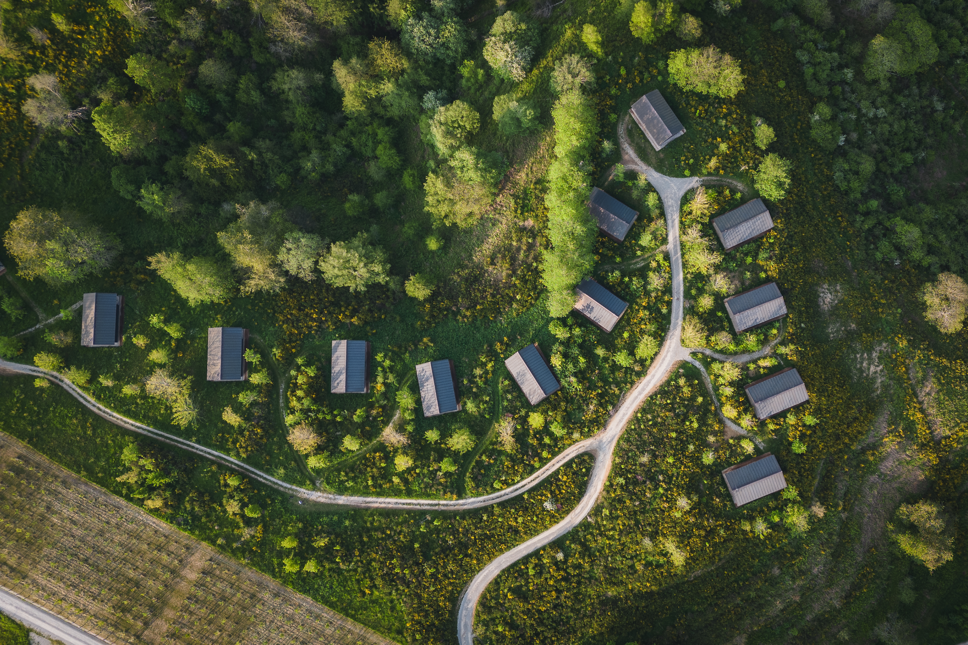 oasyhotel mattiamarasco 0023